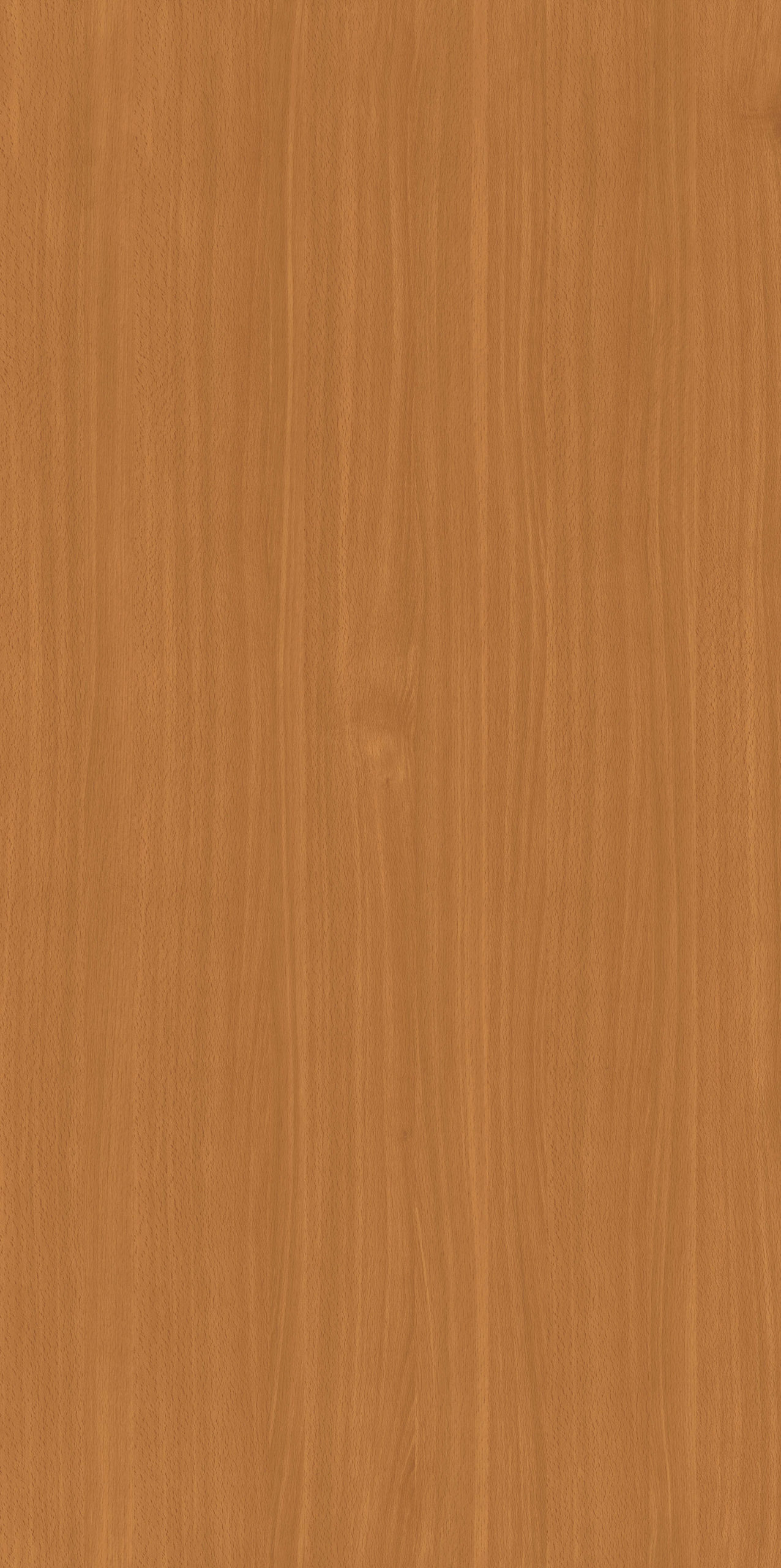 NARBONA BEECH