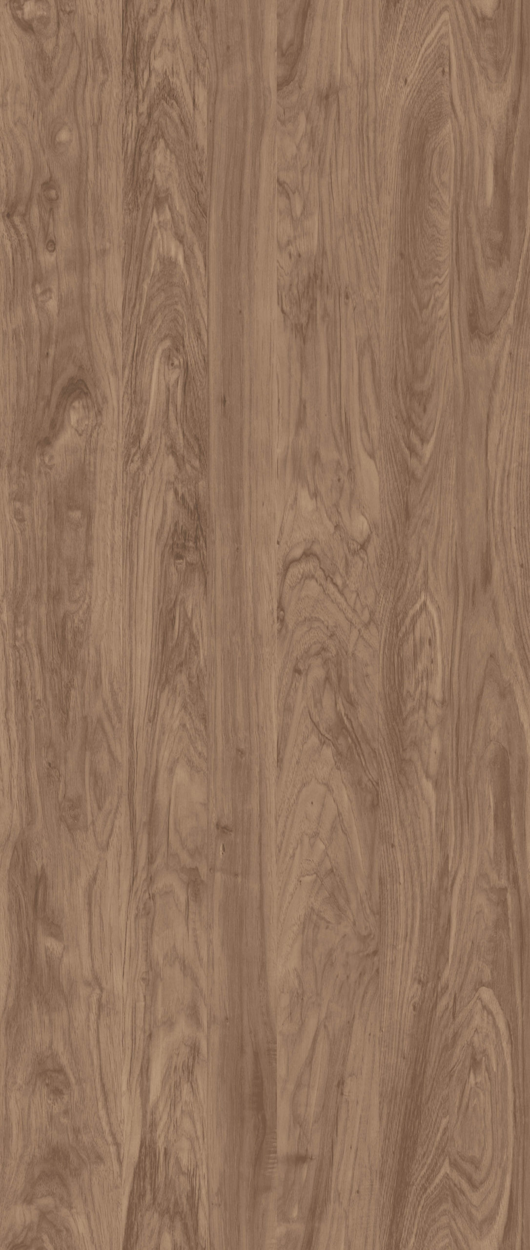 UTAH PECAN