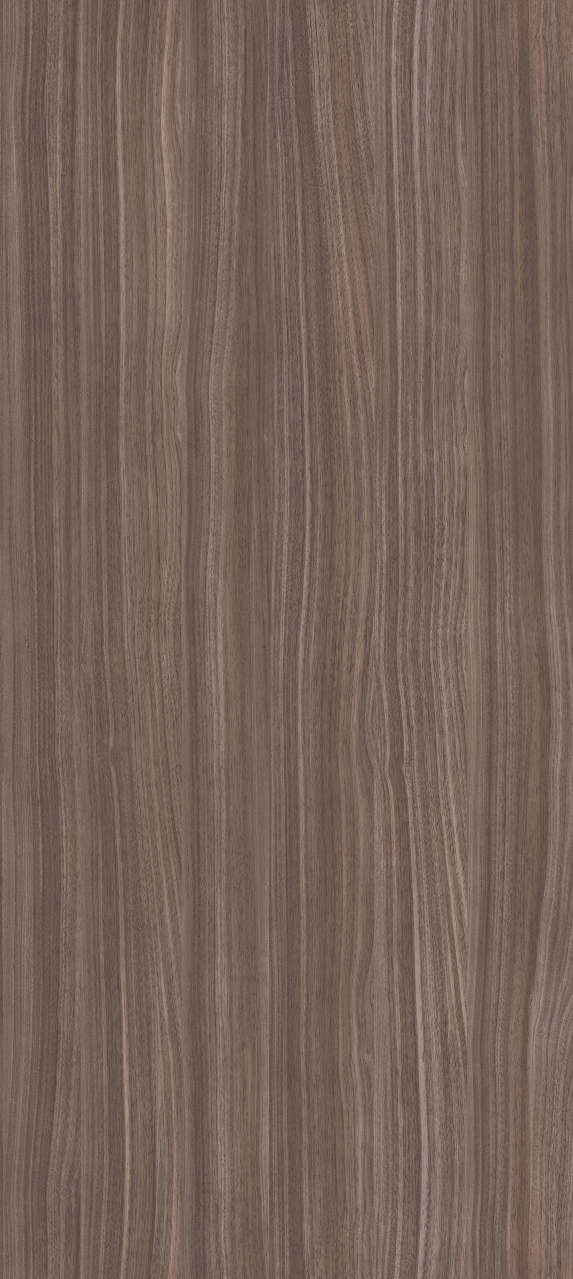 PARMA WALNUT