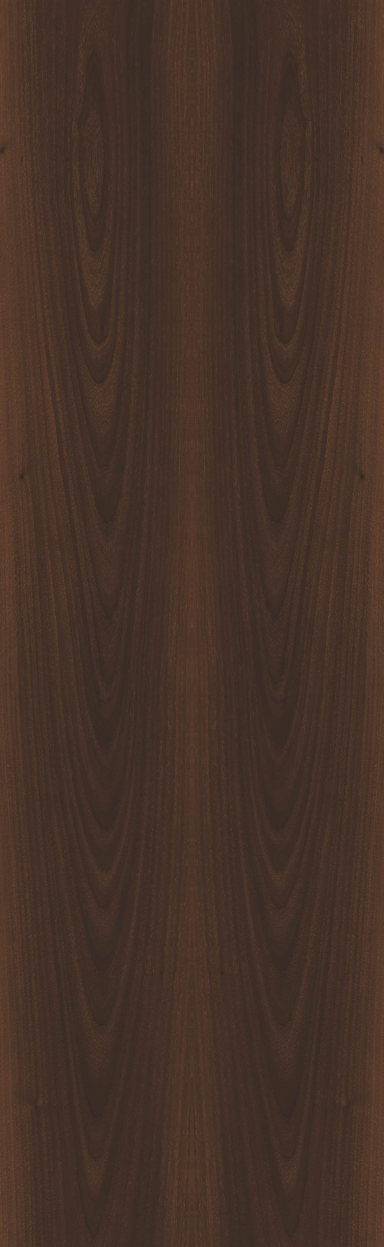 ADRIATICO WALNUT