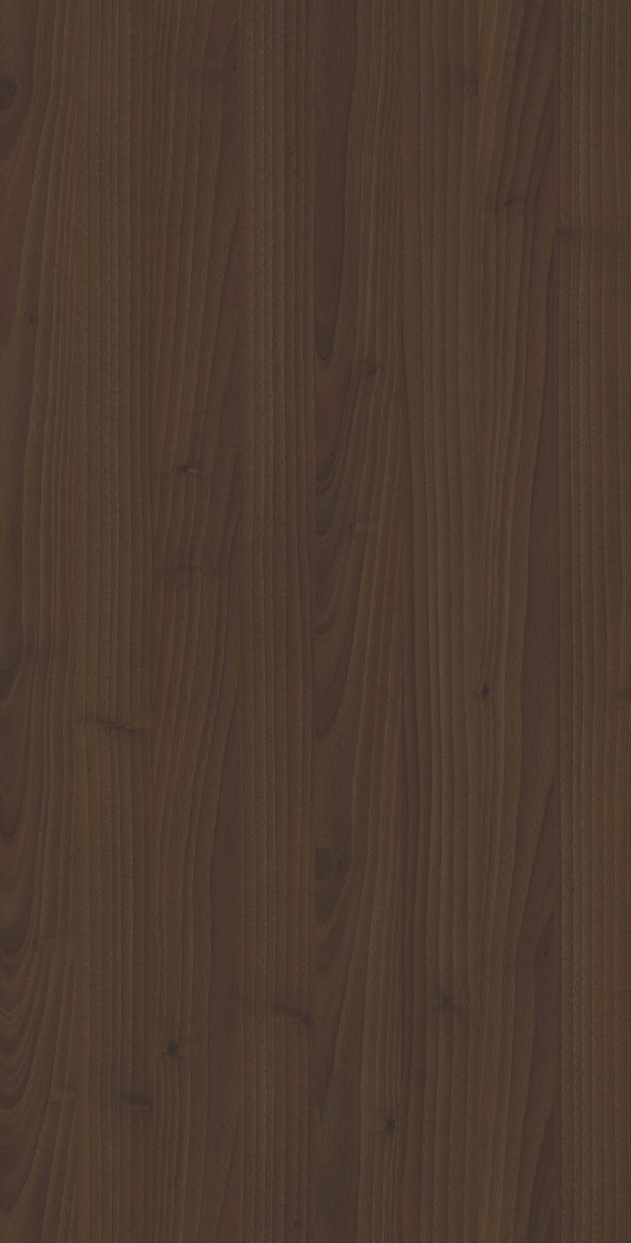 PISA WALNUT