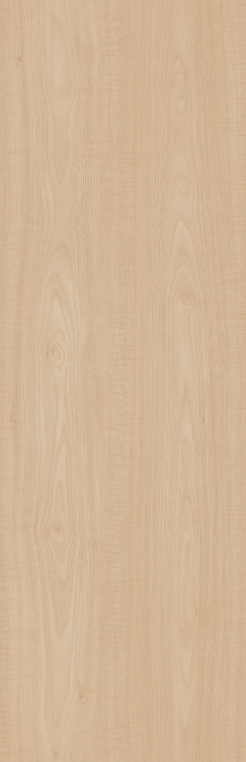 ARDENAS MAPLE