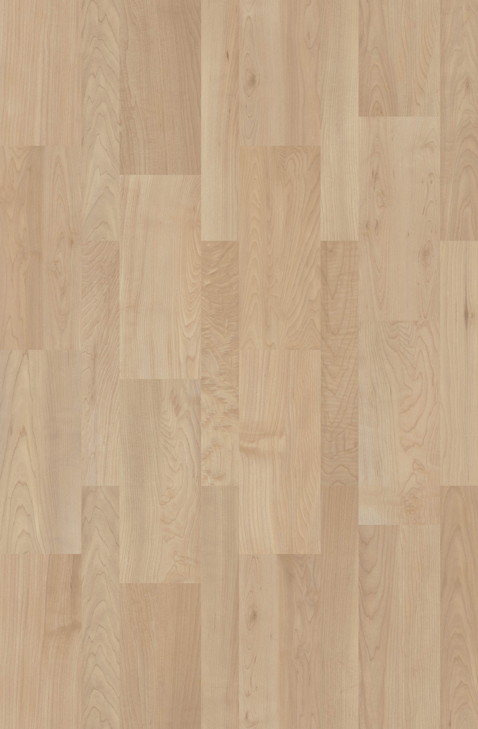MALMO MAPLE