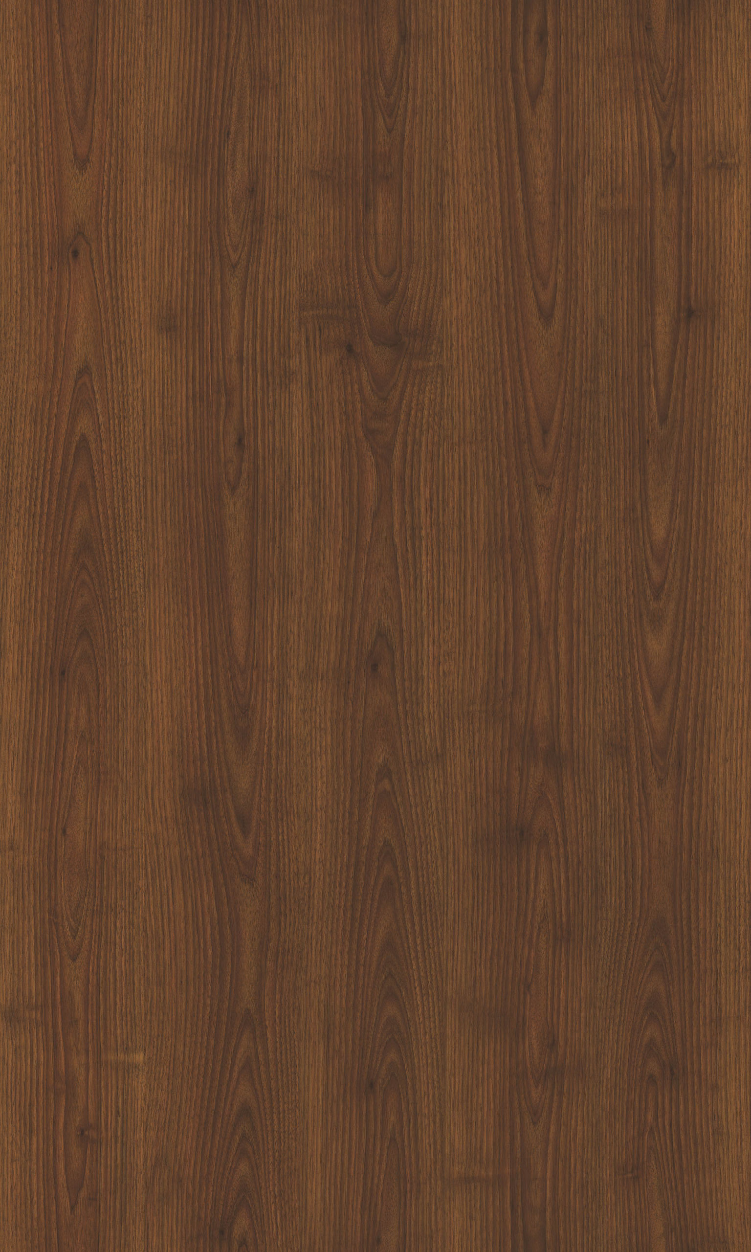 BALAGUER WALNUT