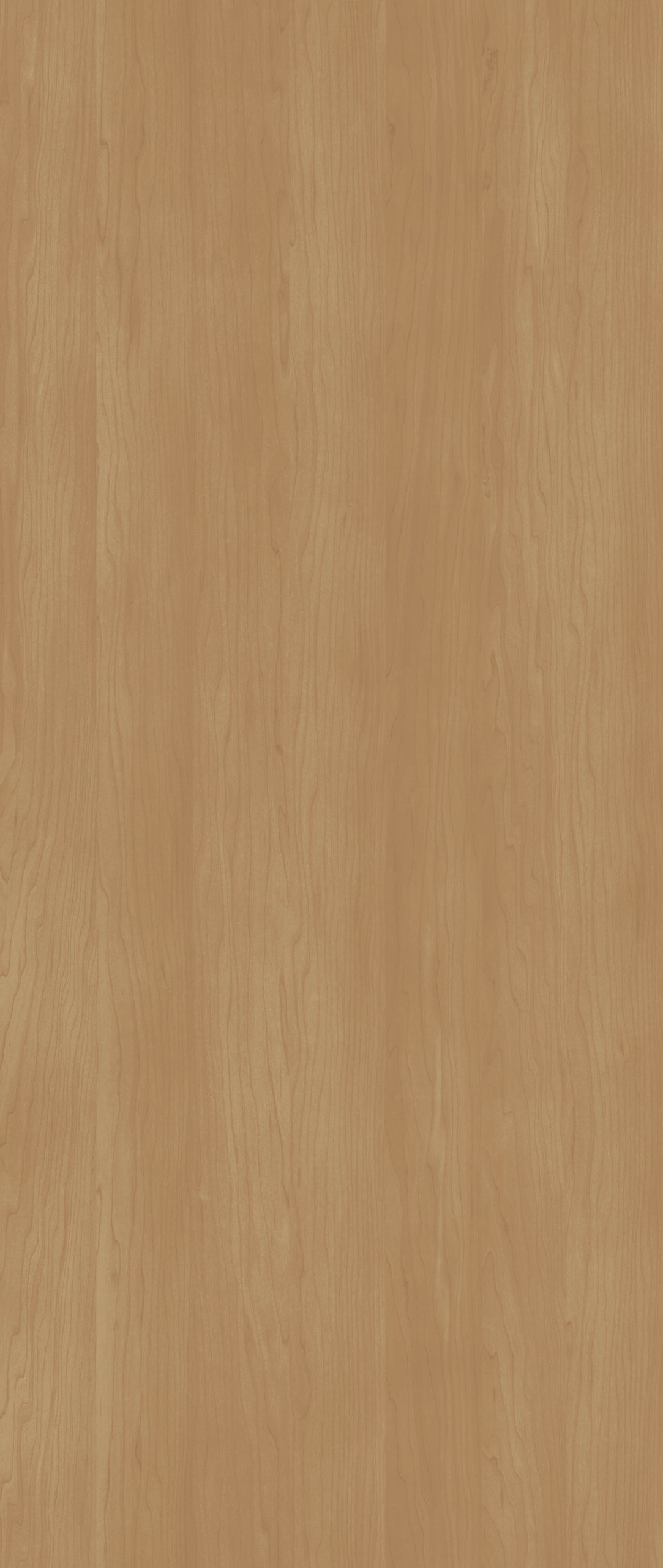 ELECTRIC MAPLE