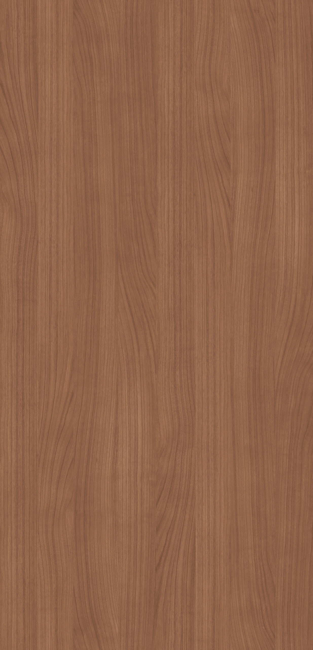 PREMIUM CHERRY