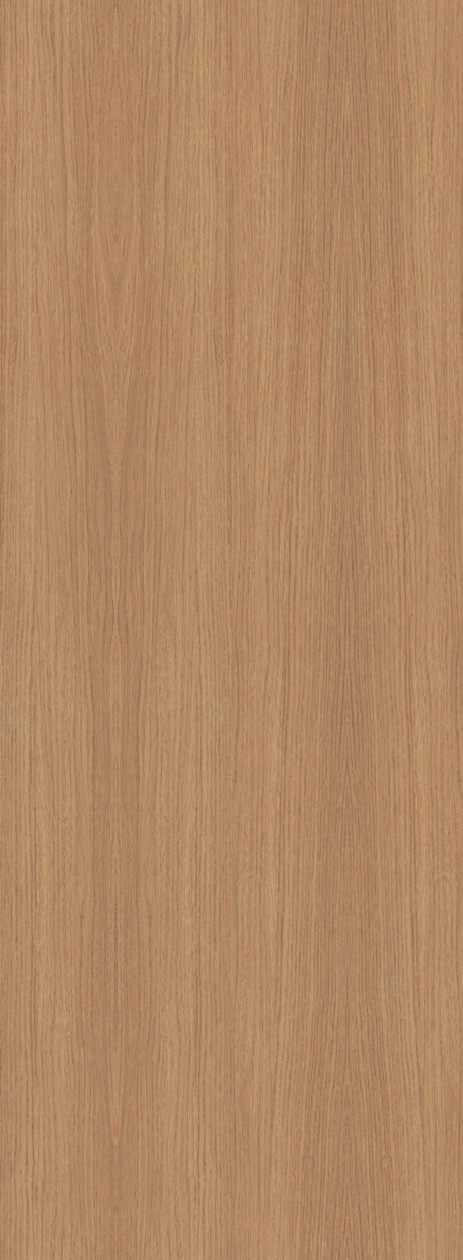 GENESIS OAK