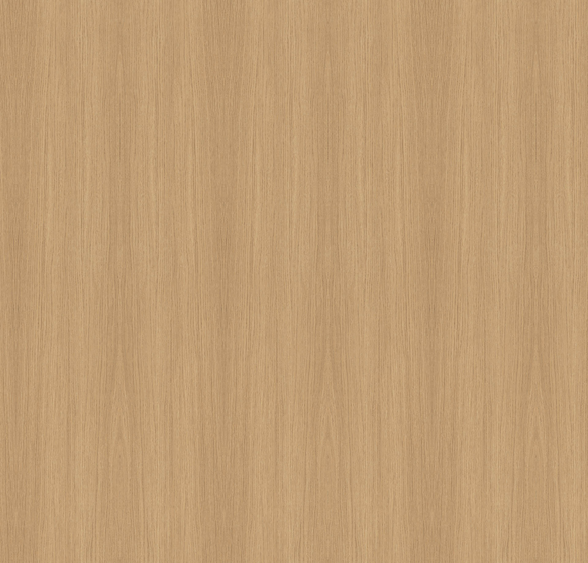 TRANSVERSAL GENESIS OAK (T)