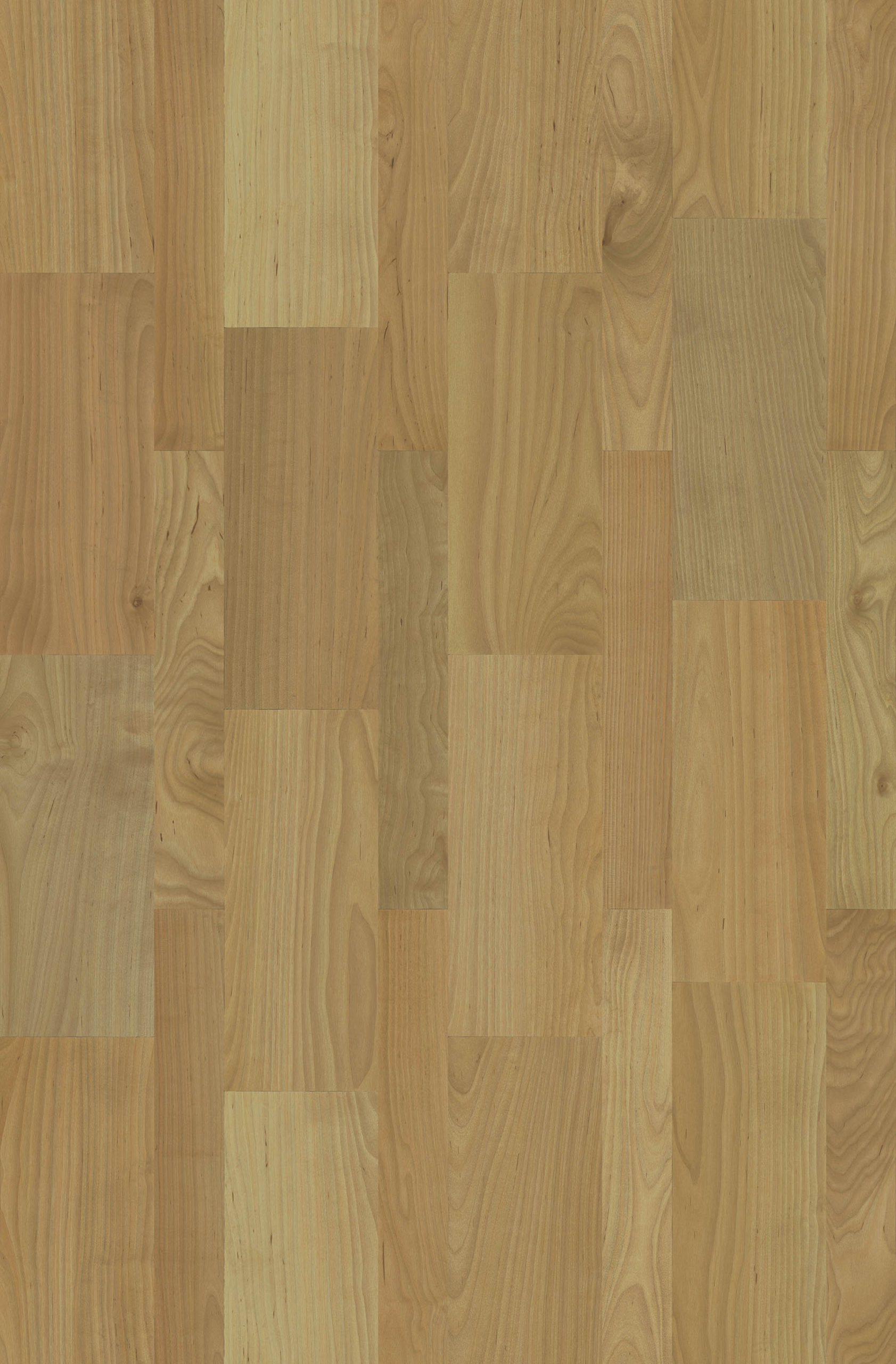 ALINS MAPLE
