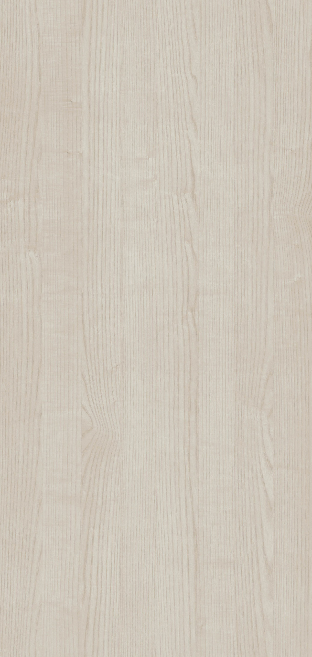 DUCALE ASH