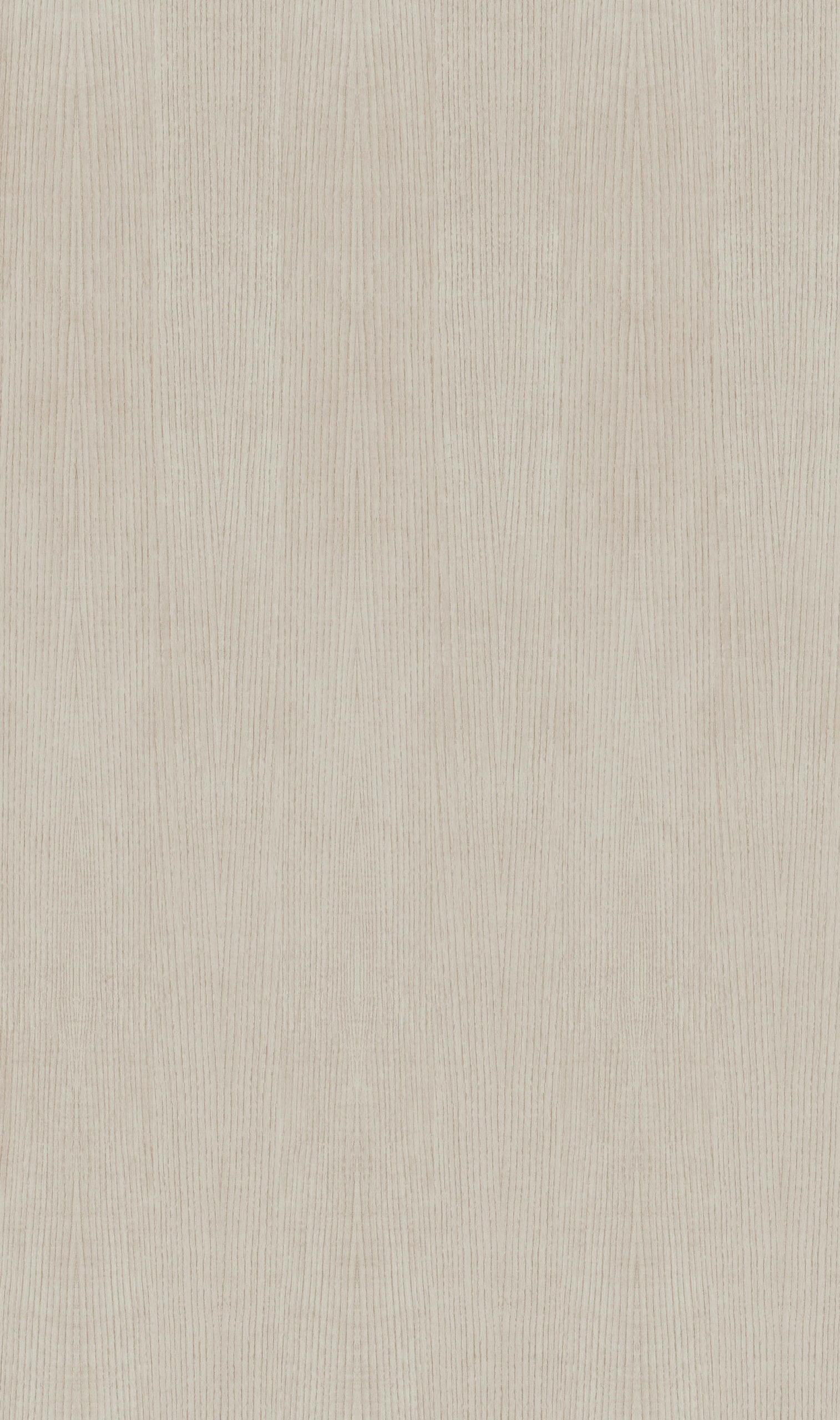 MERIDIAN ASH