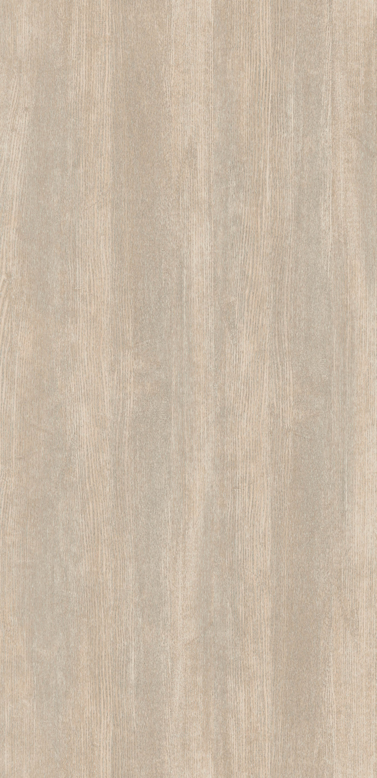 NIMES OAK
