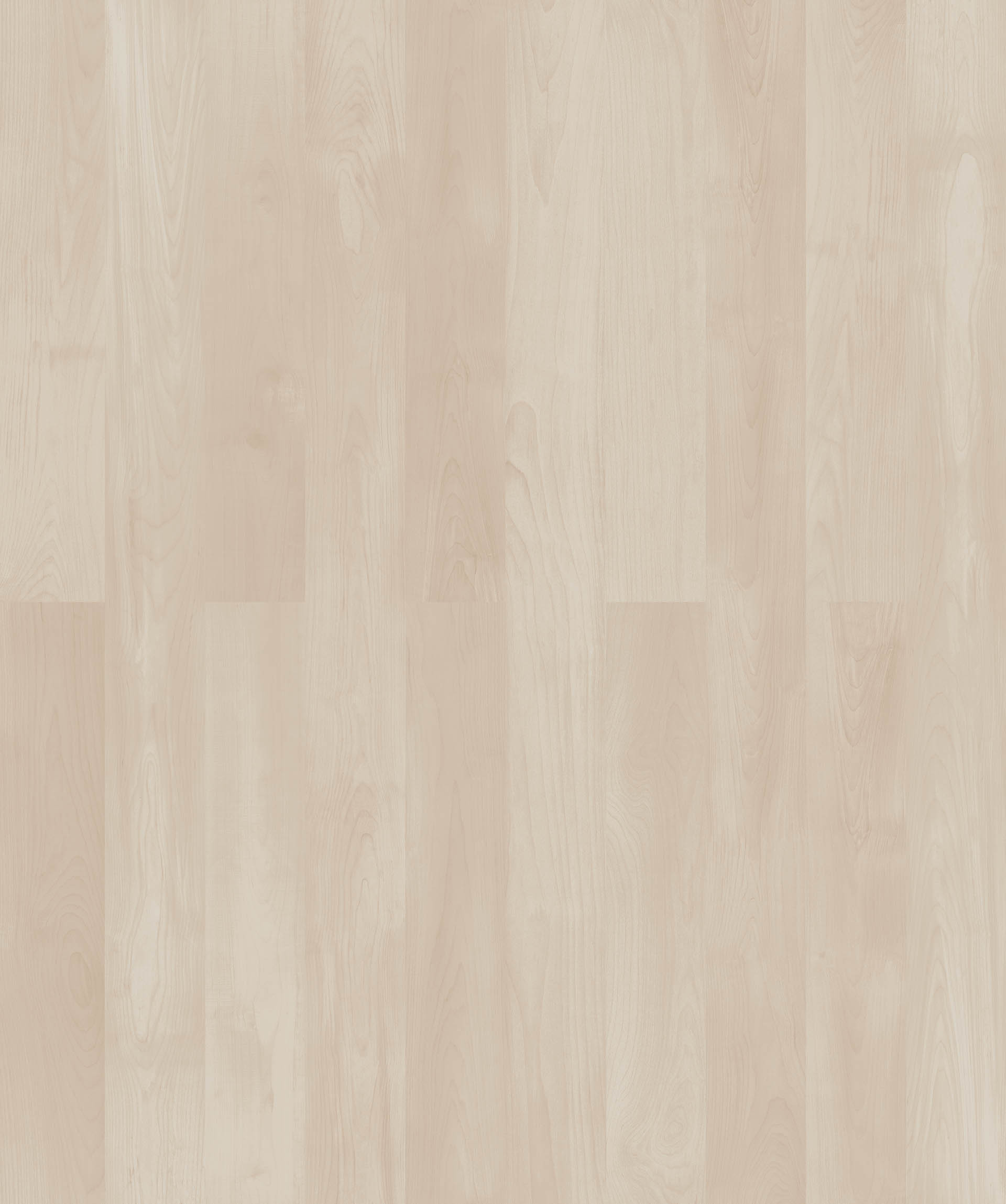 TROYA MAPLE