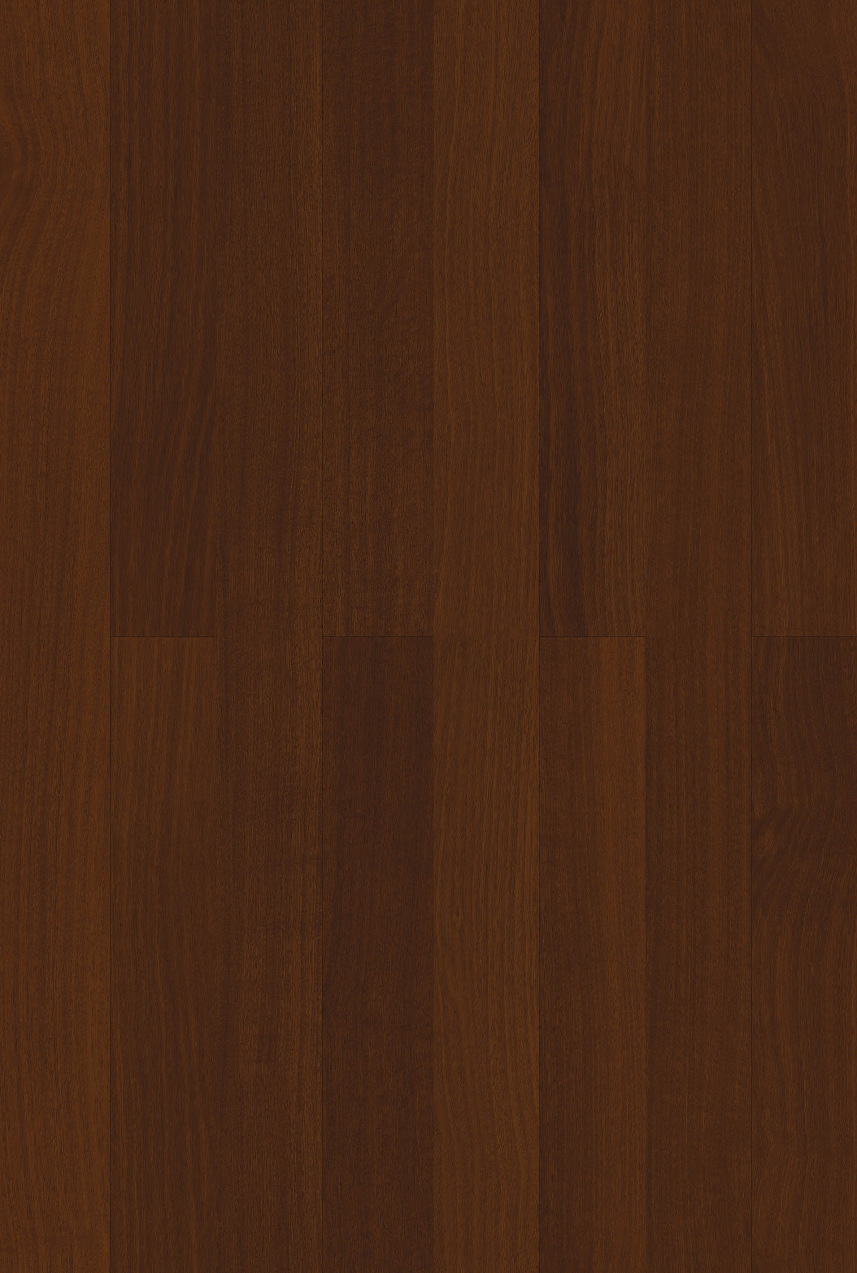 LEBANON CEDAR