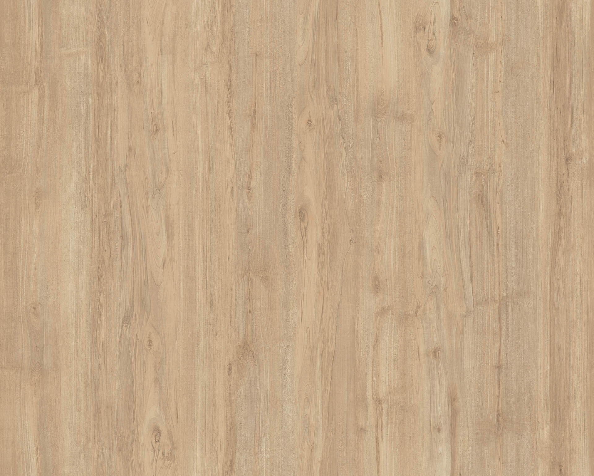 STRAUSS MAPLE