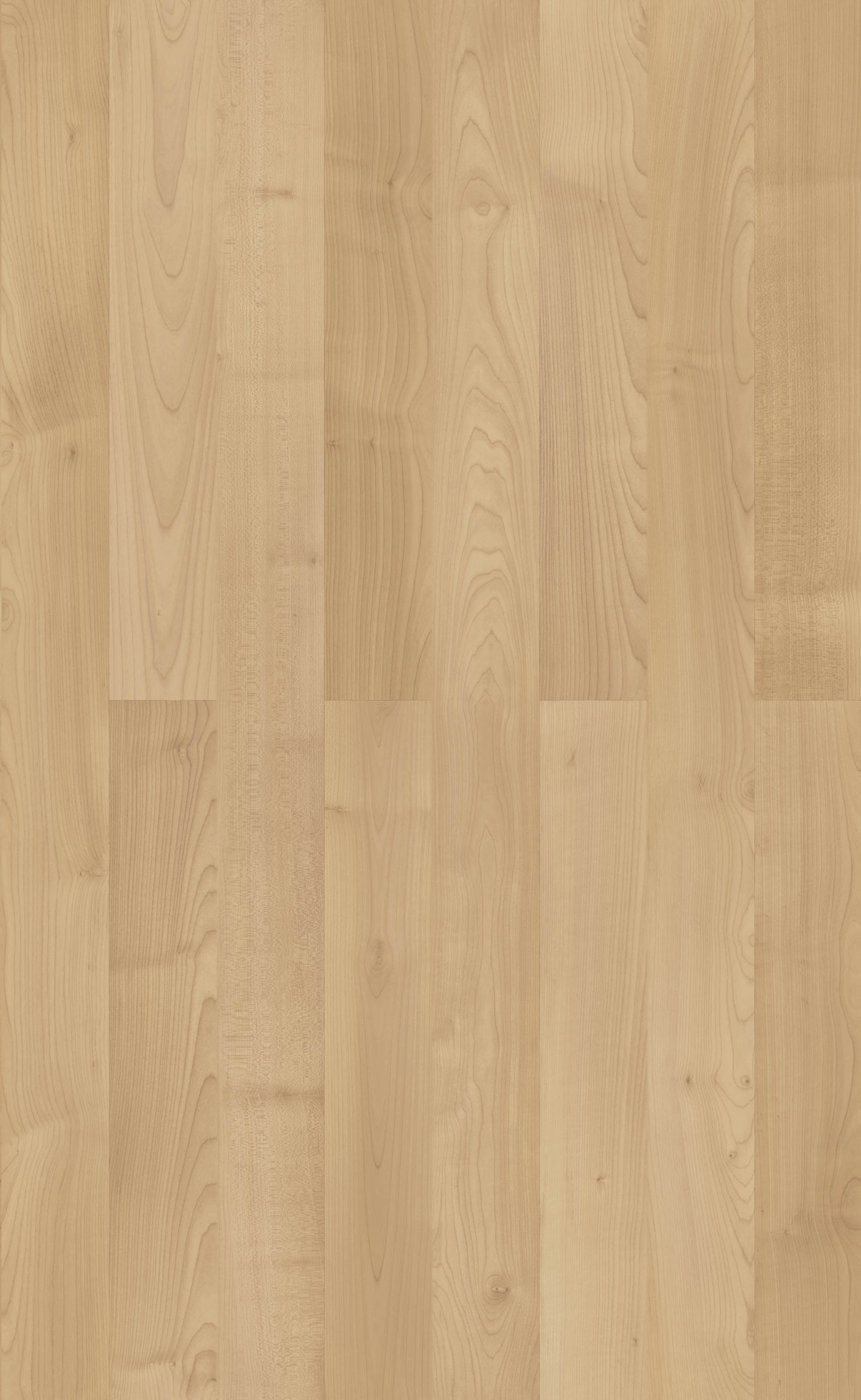 ROSSINI MAPLE