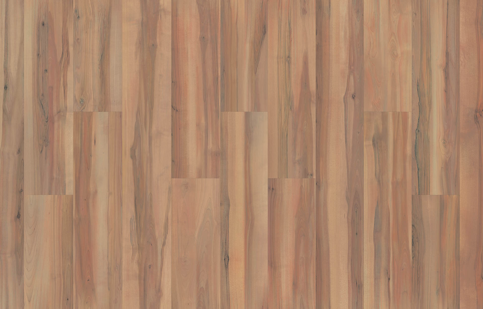 NORTHERN BIRCH