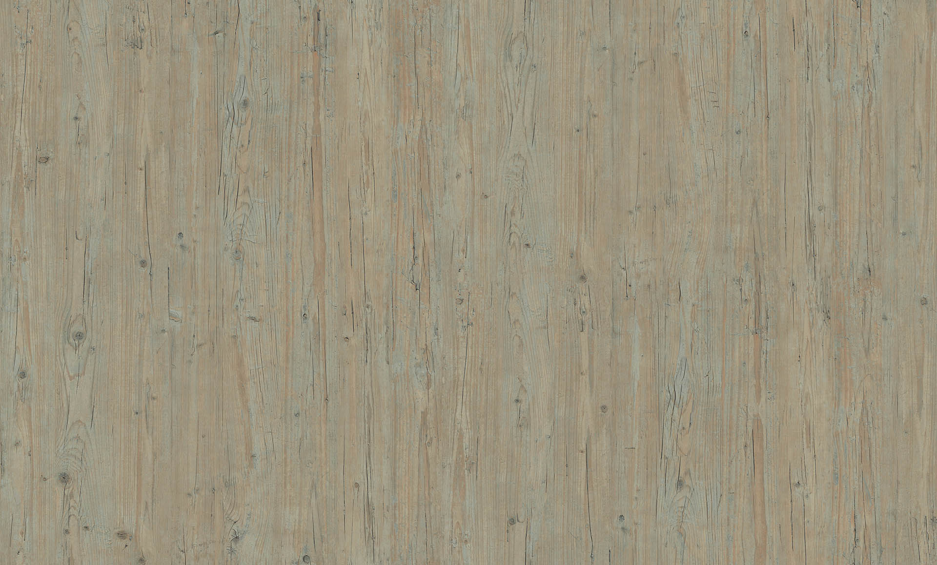 WASHINGTON PINE