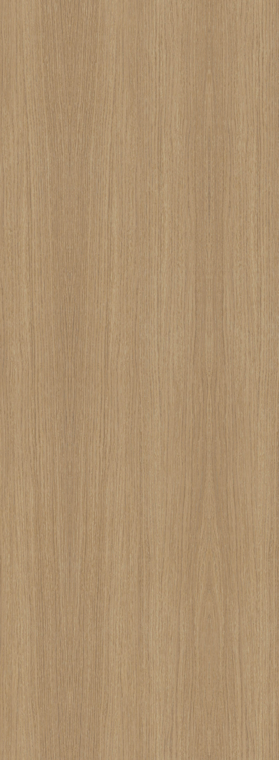 UNIVERS OAK