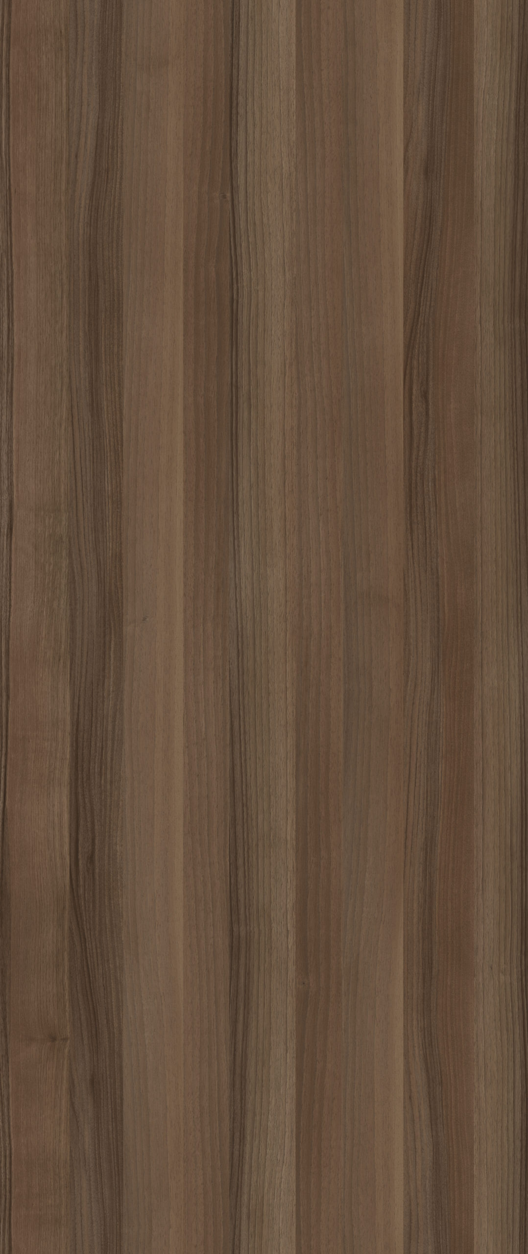 ALPINO WALNUT