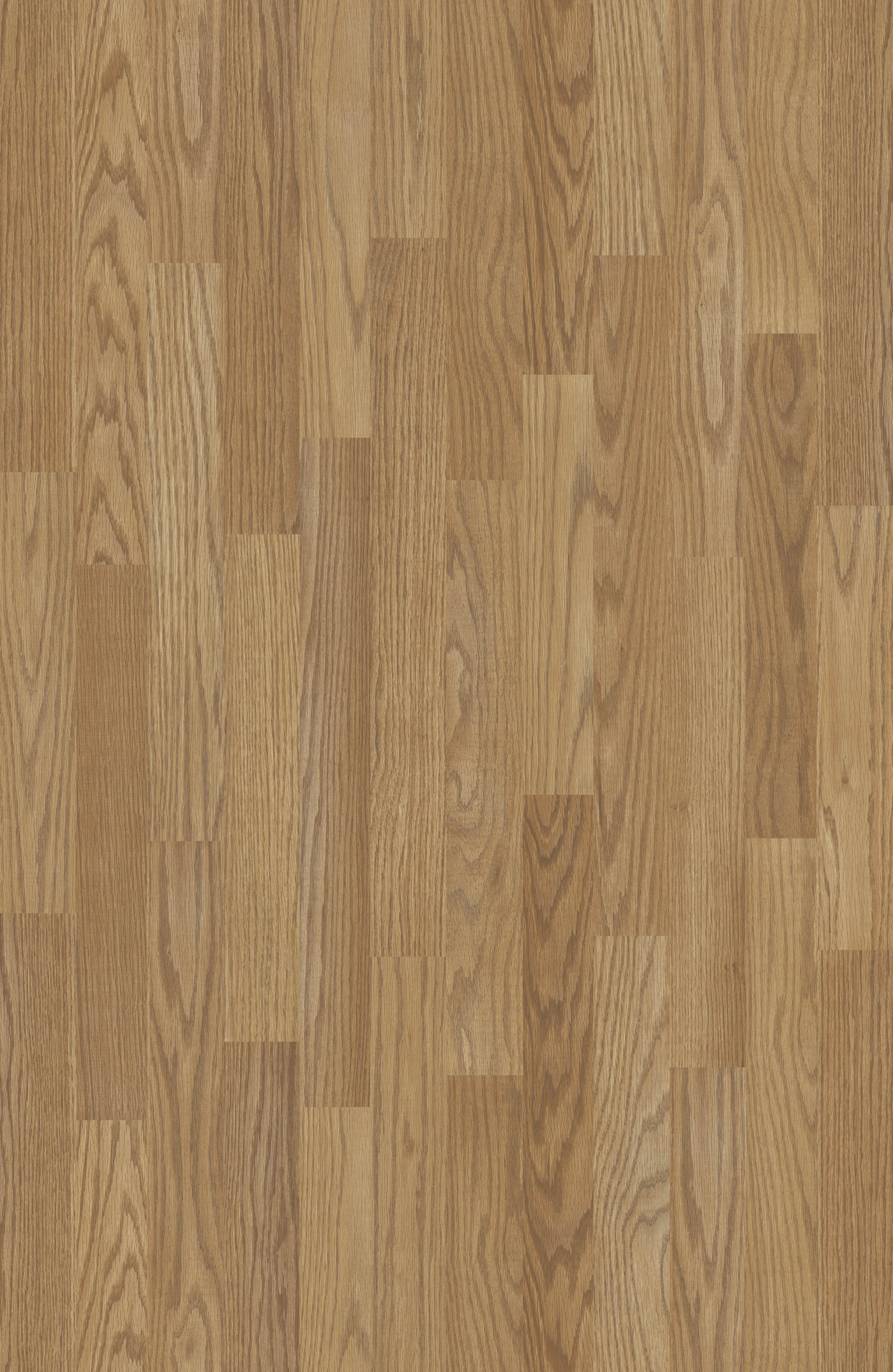TENNESSEE OAK
