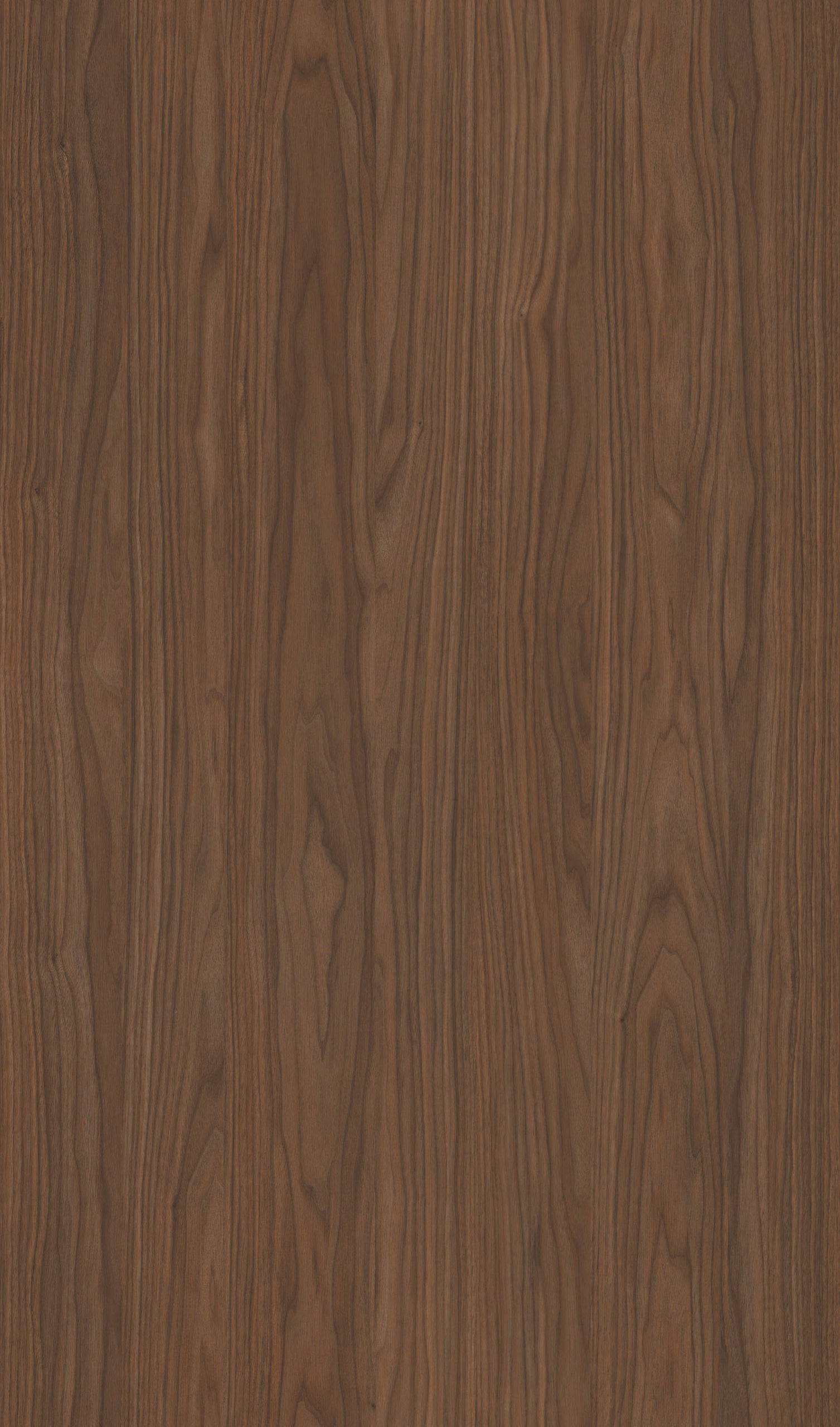 YUKON WALNUT