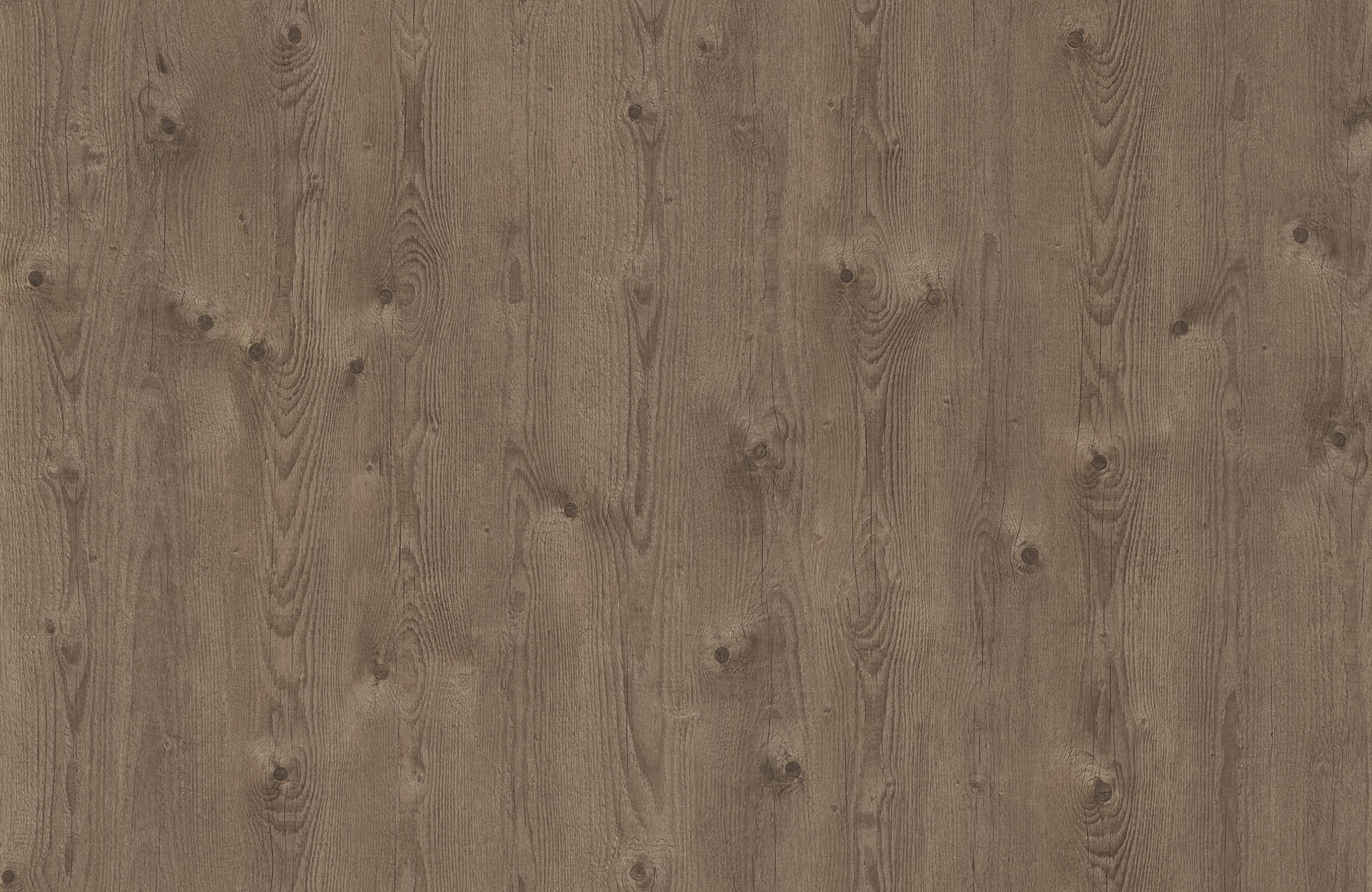 MODERN PINE
