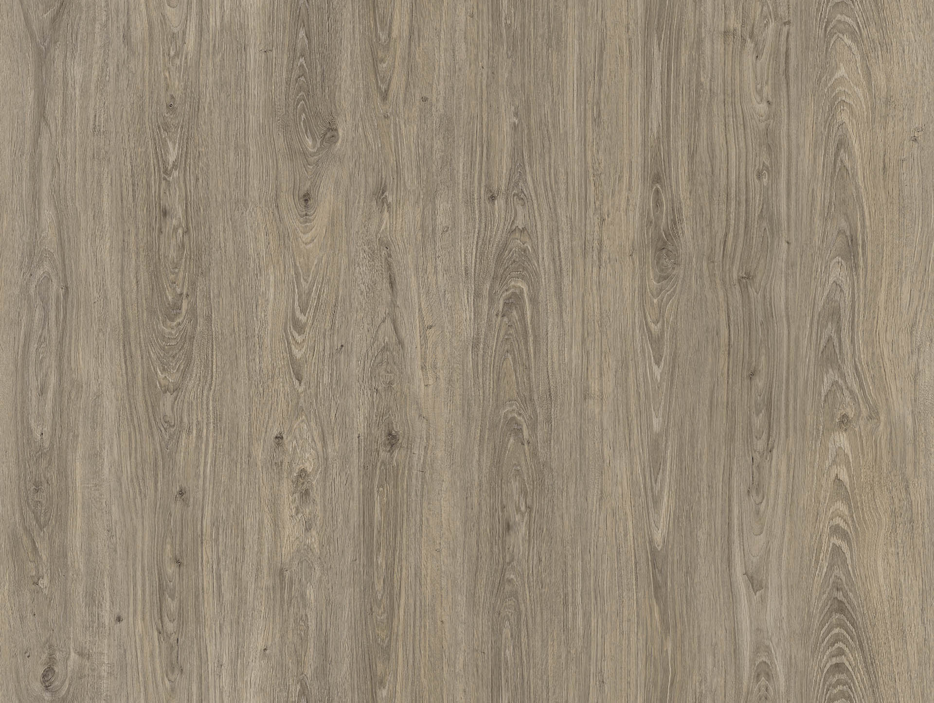 CLEAN VICTORIAN OAK