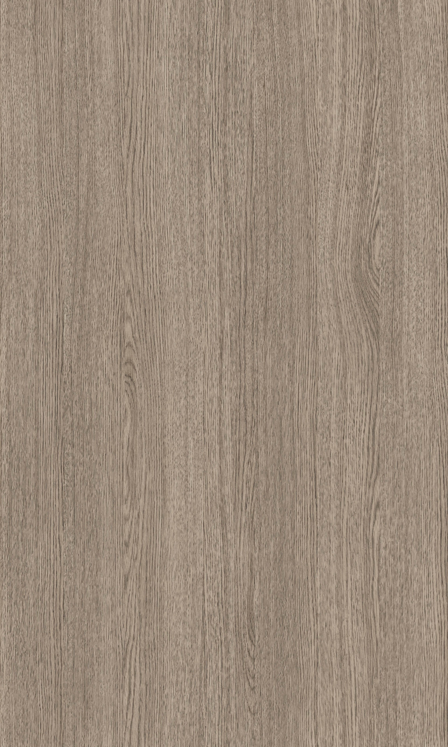 NEW MOON OAK
