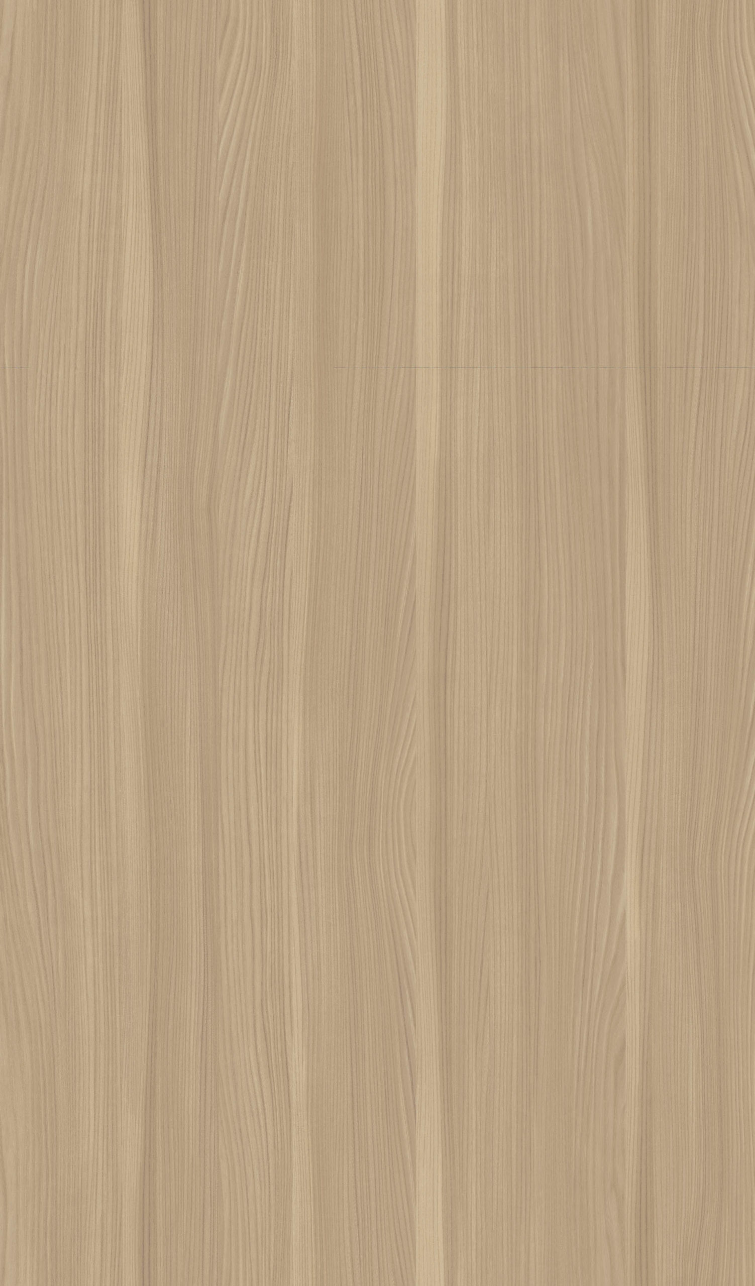 SOFT ELM