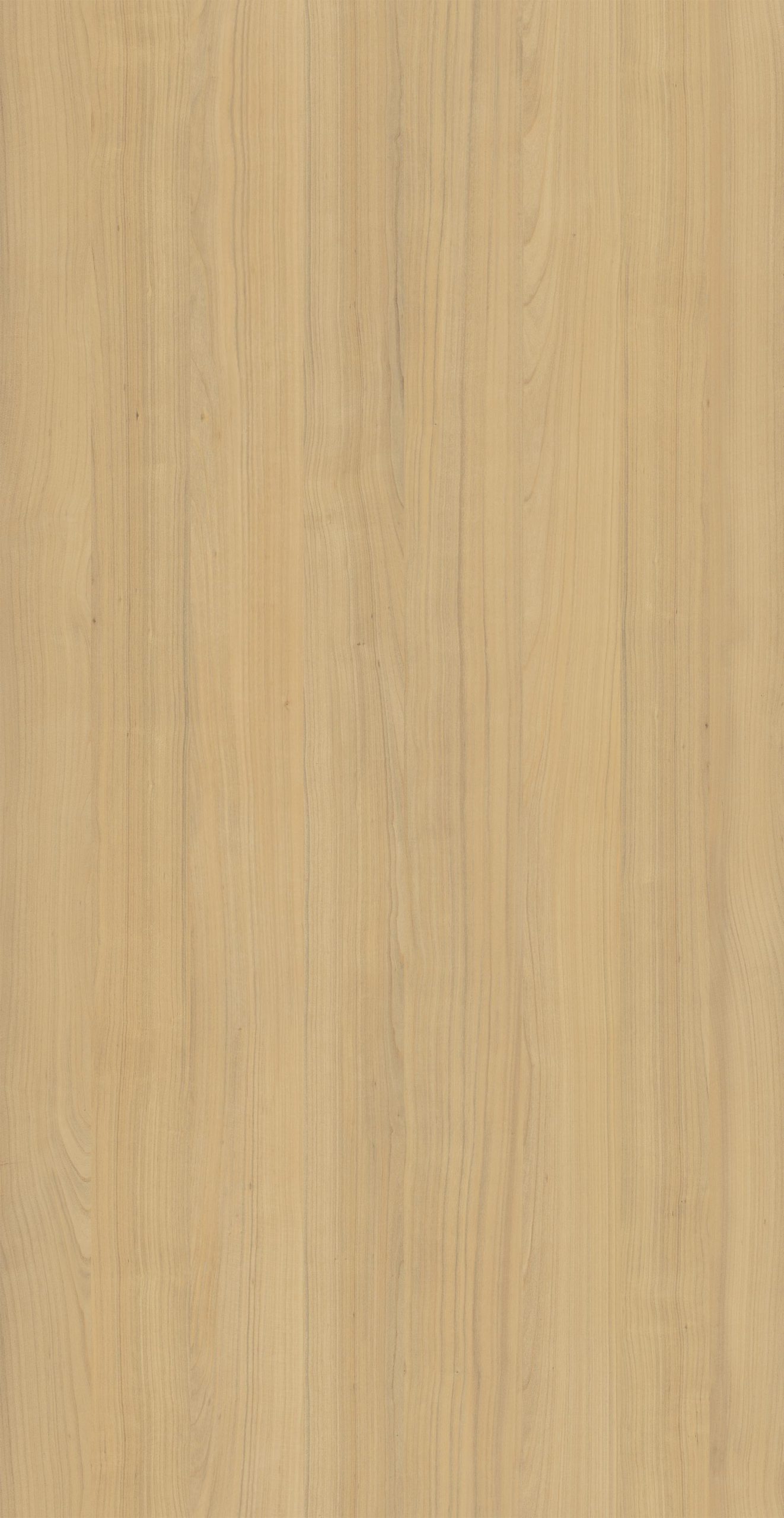 CORTLAND CHERRY