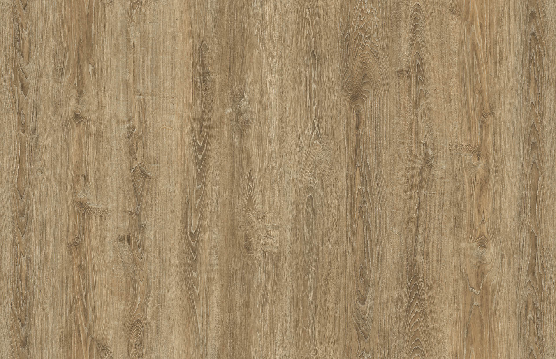 CERDANYA OAK