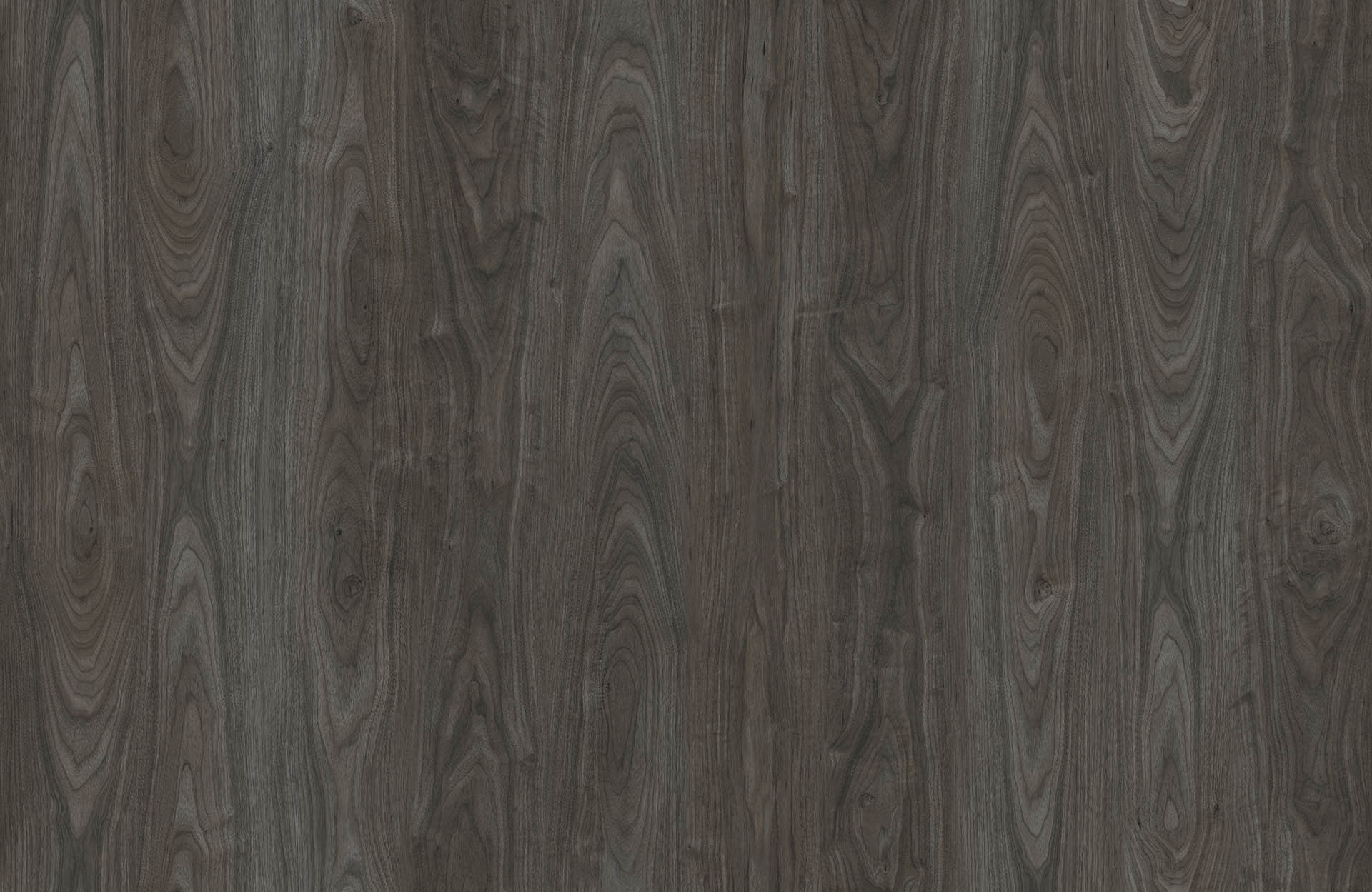 CHOPIN WALNUT