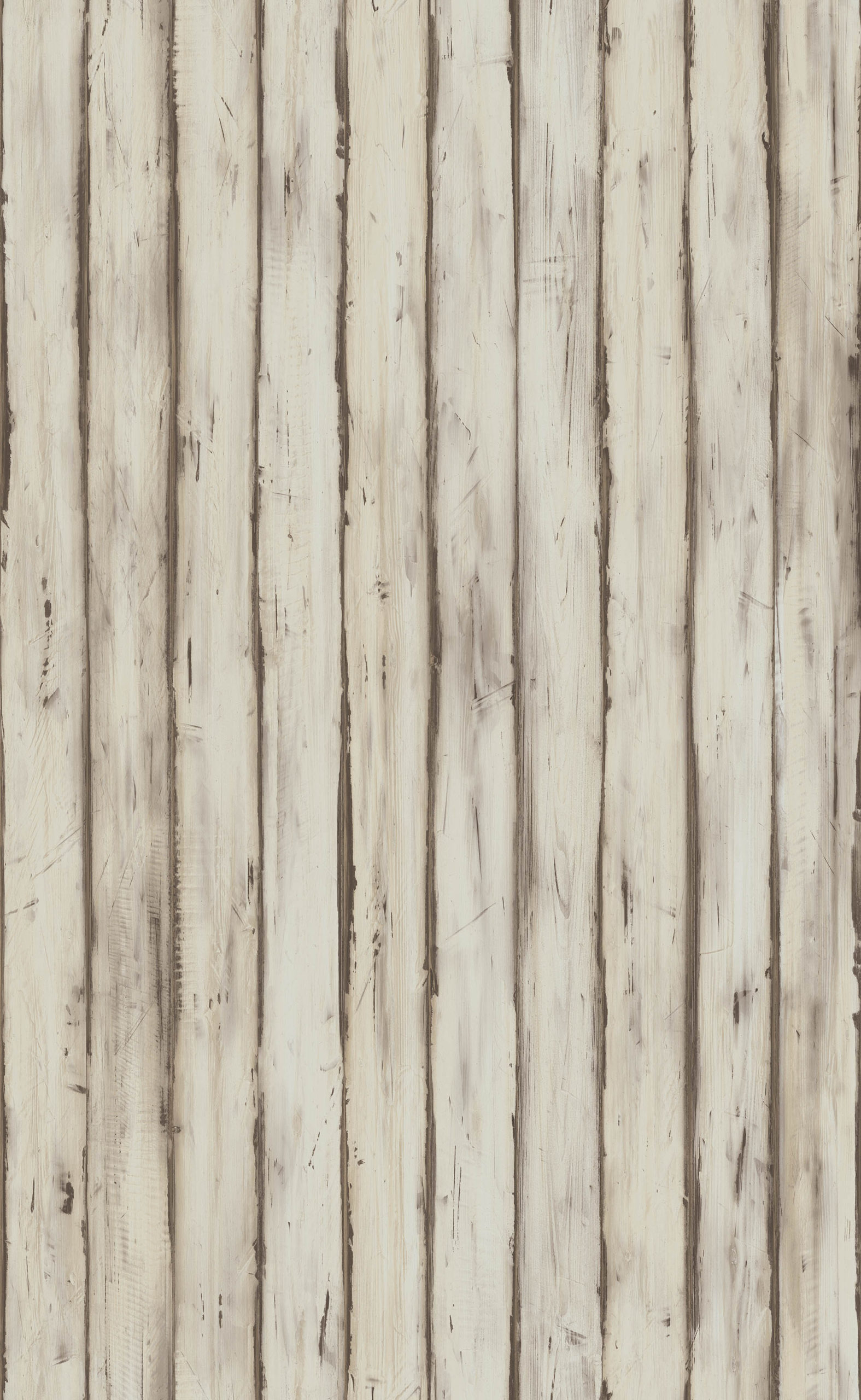 MARITTIMO PINE