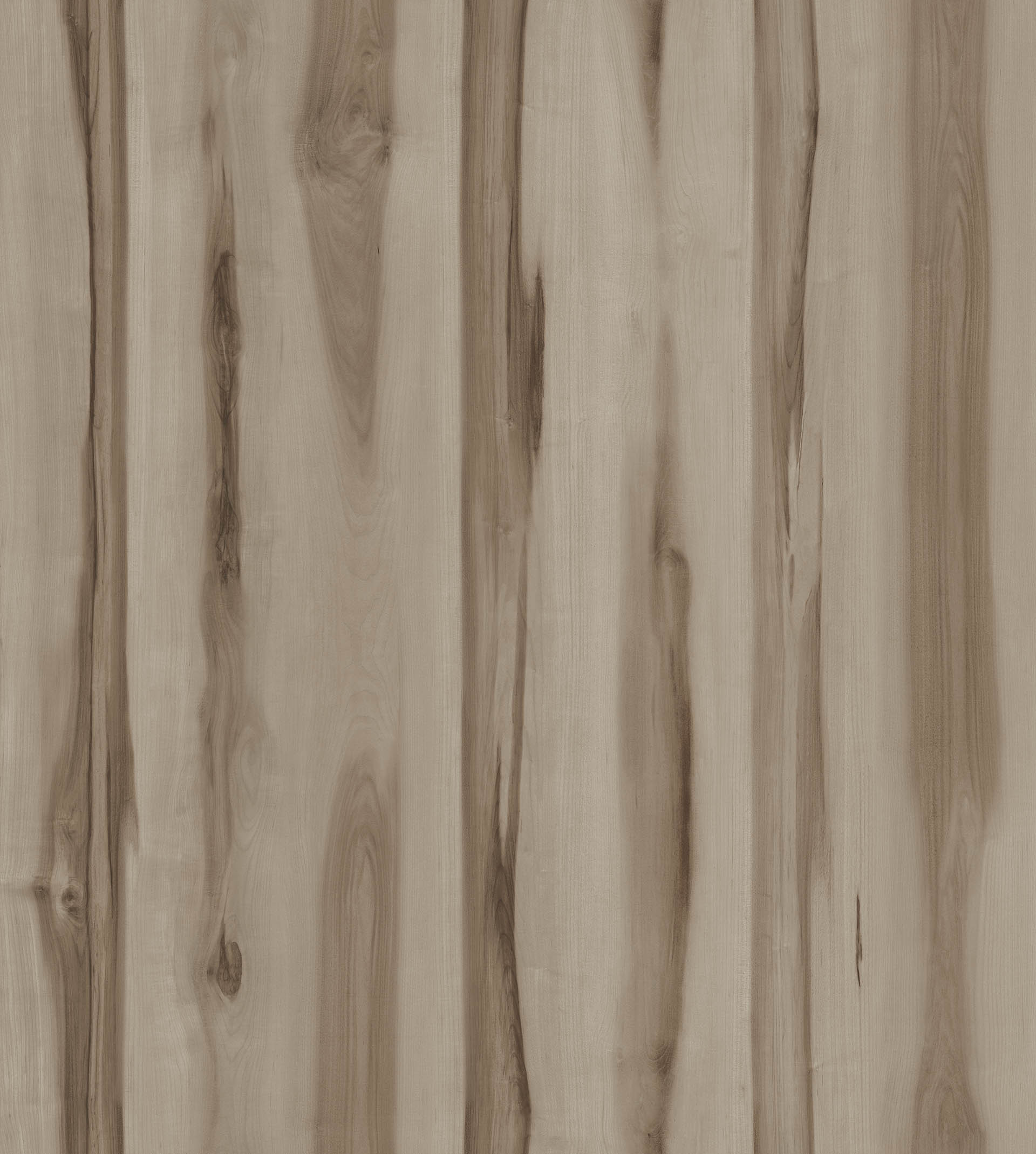 DUNES MAPLE