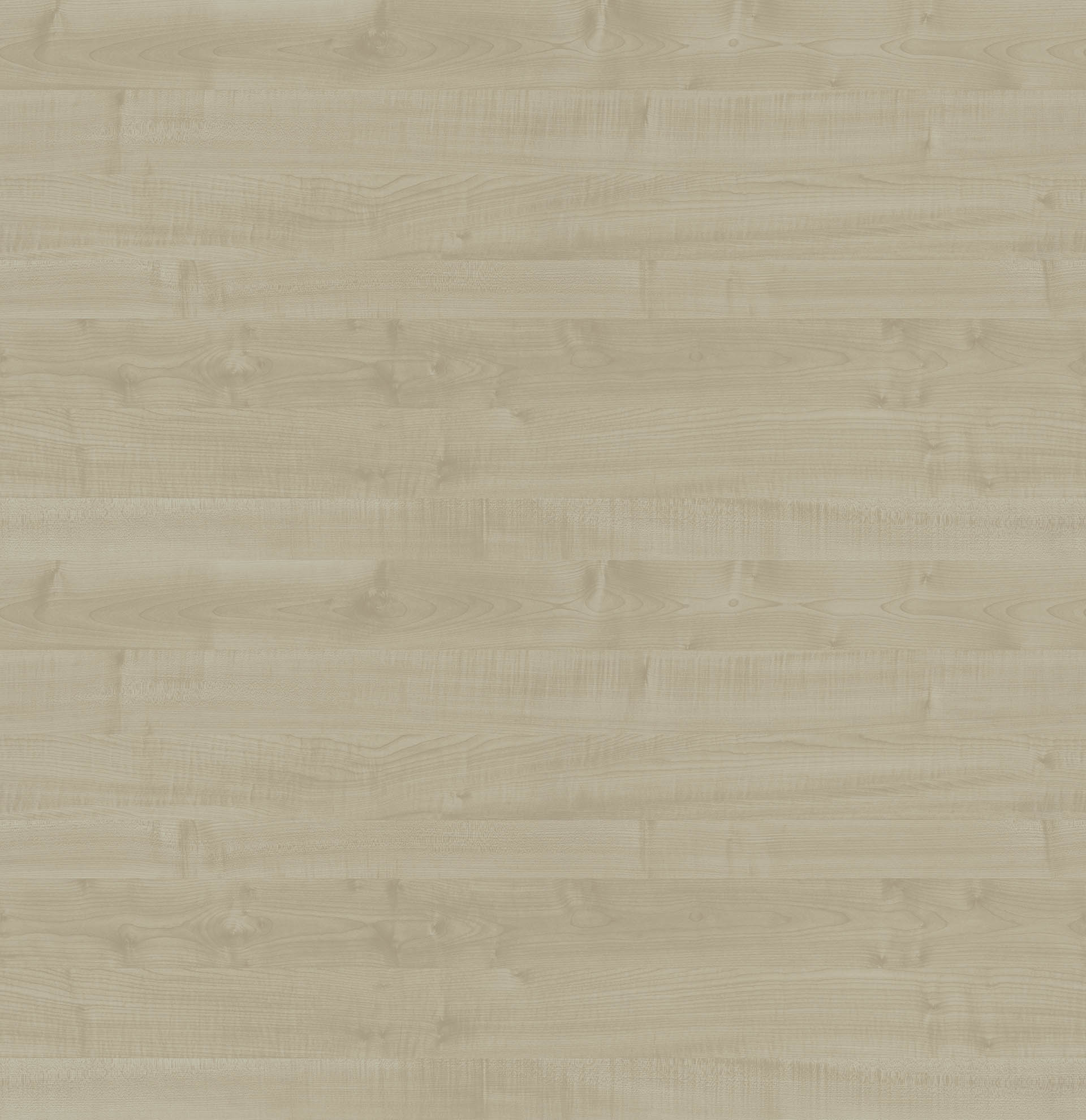 MAPLE (T)