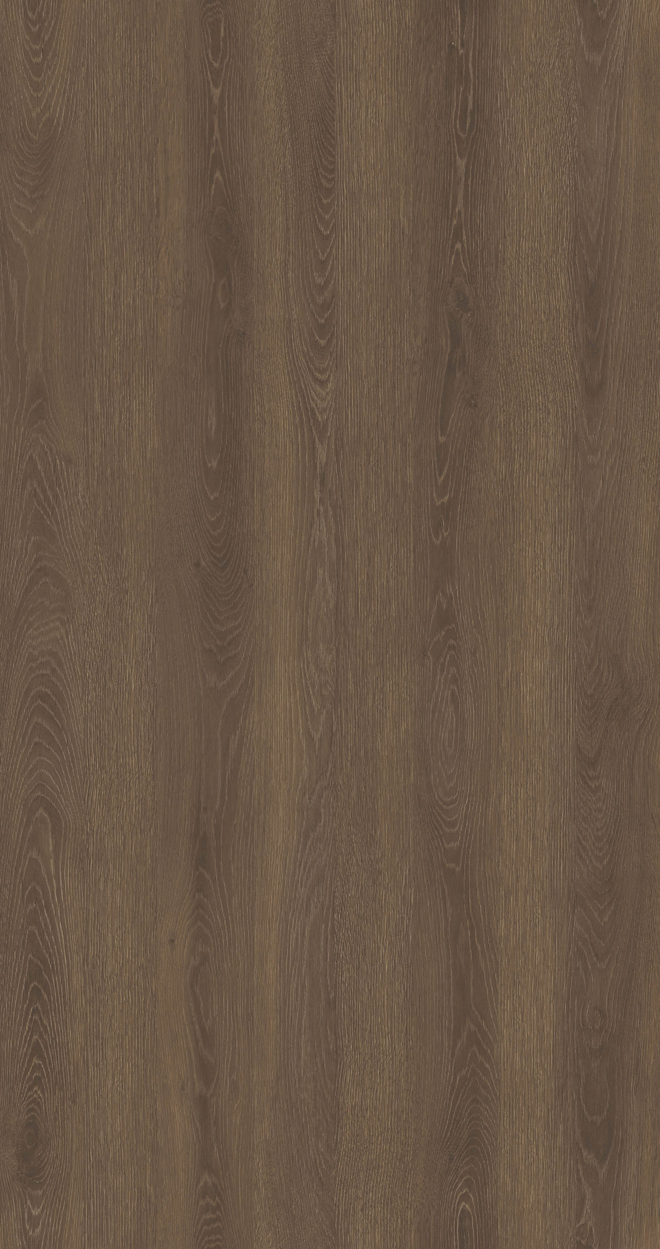 COPERNICUS OAK