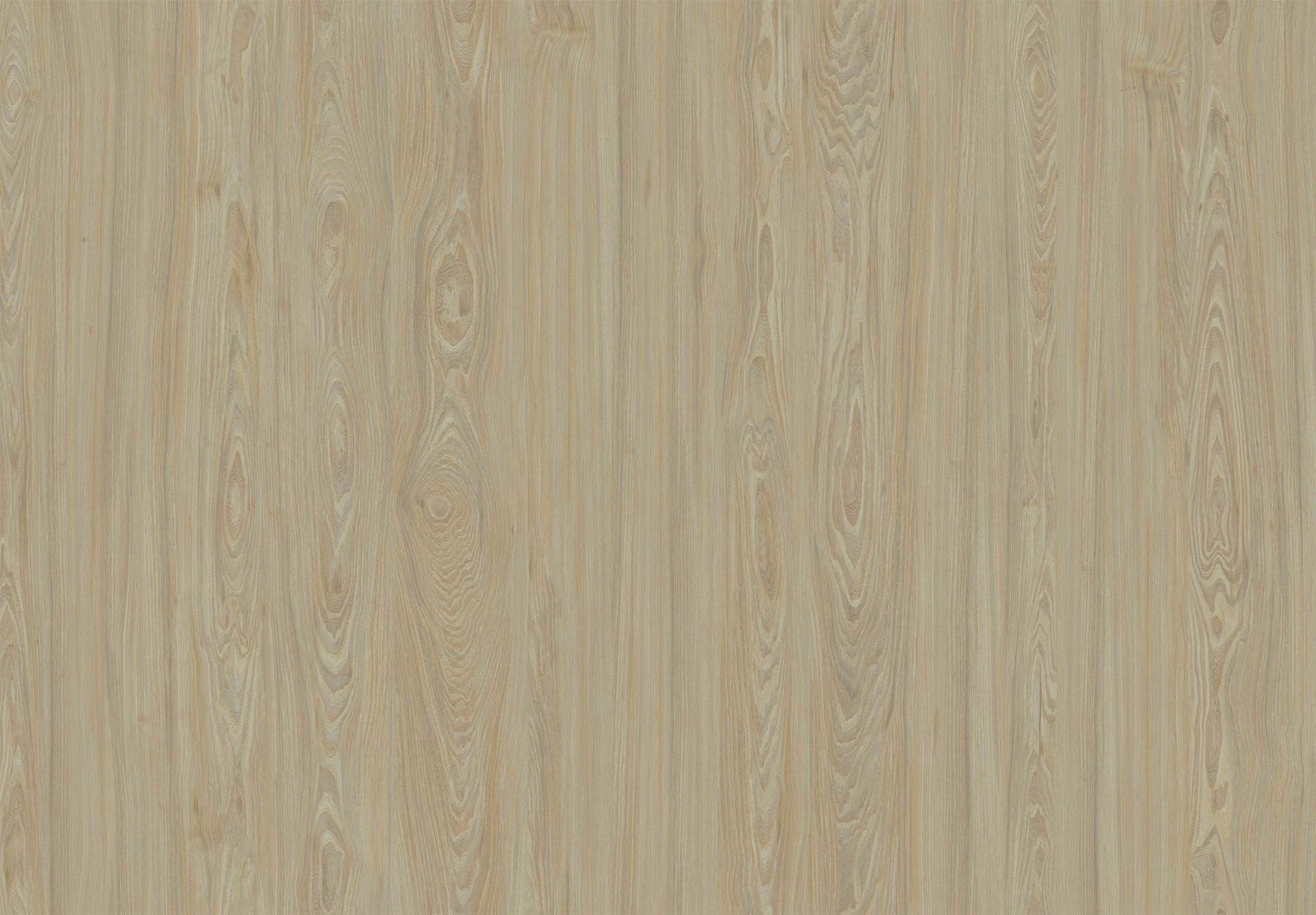 SYNCHRO ELM