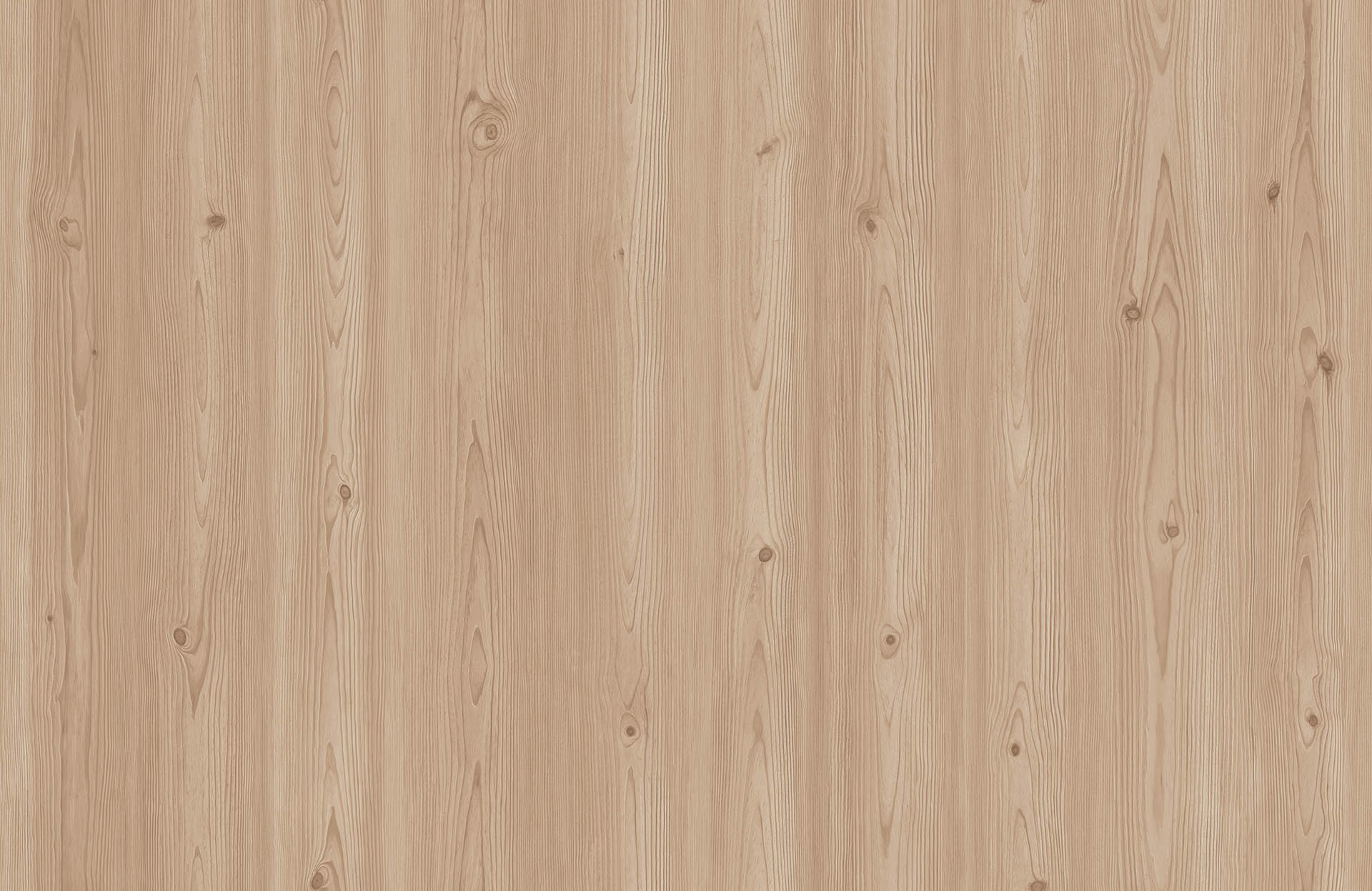 ARMENIA PINE