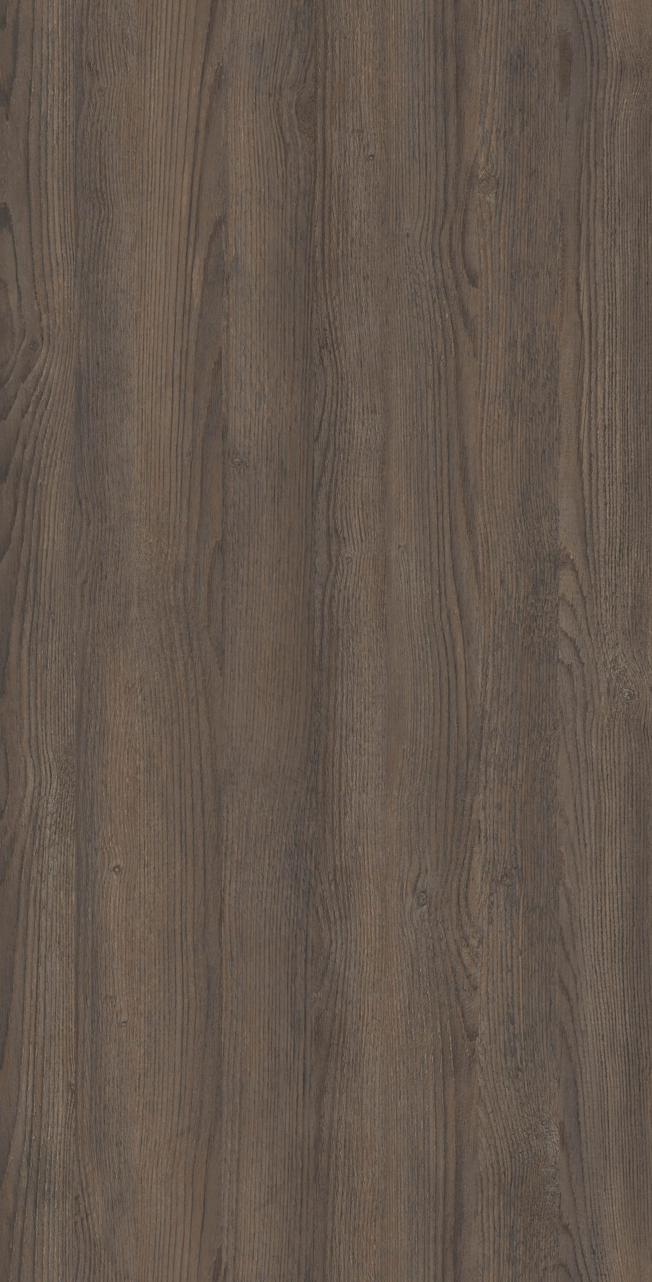 CAMARGUE PINE