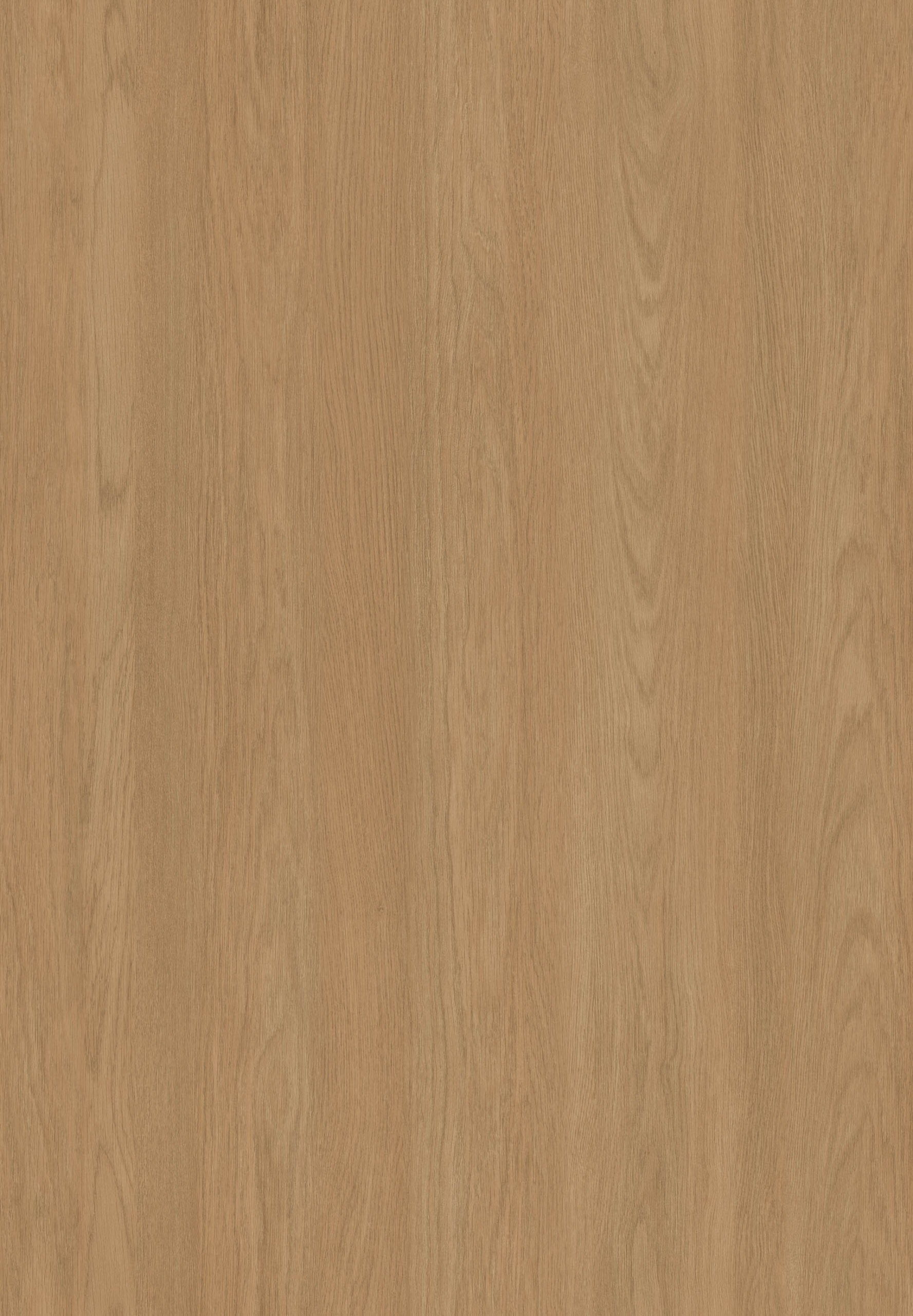 DARAB OAK
