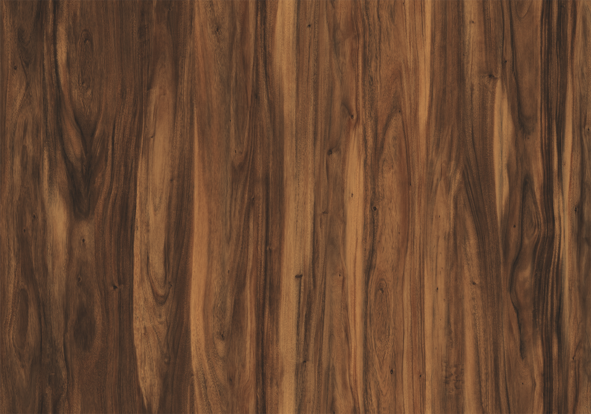 AMAZON ACACIA (EIR)