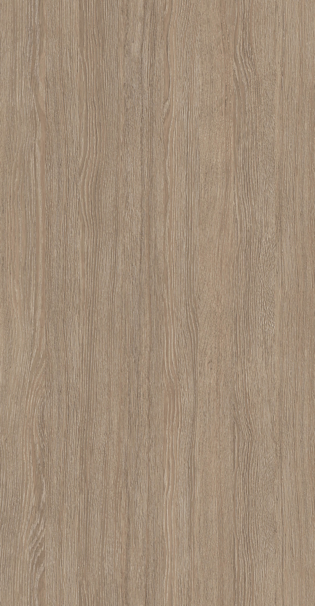 CHARLEROI OAK