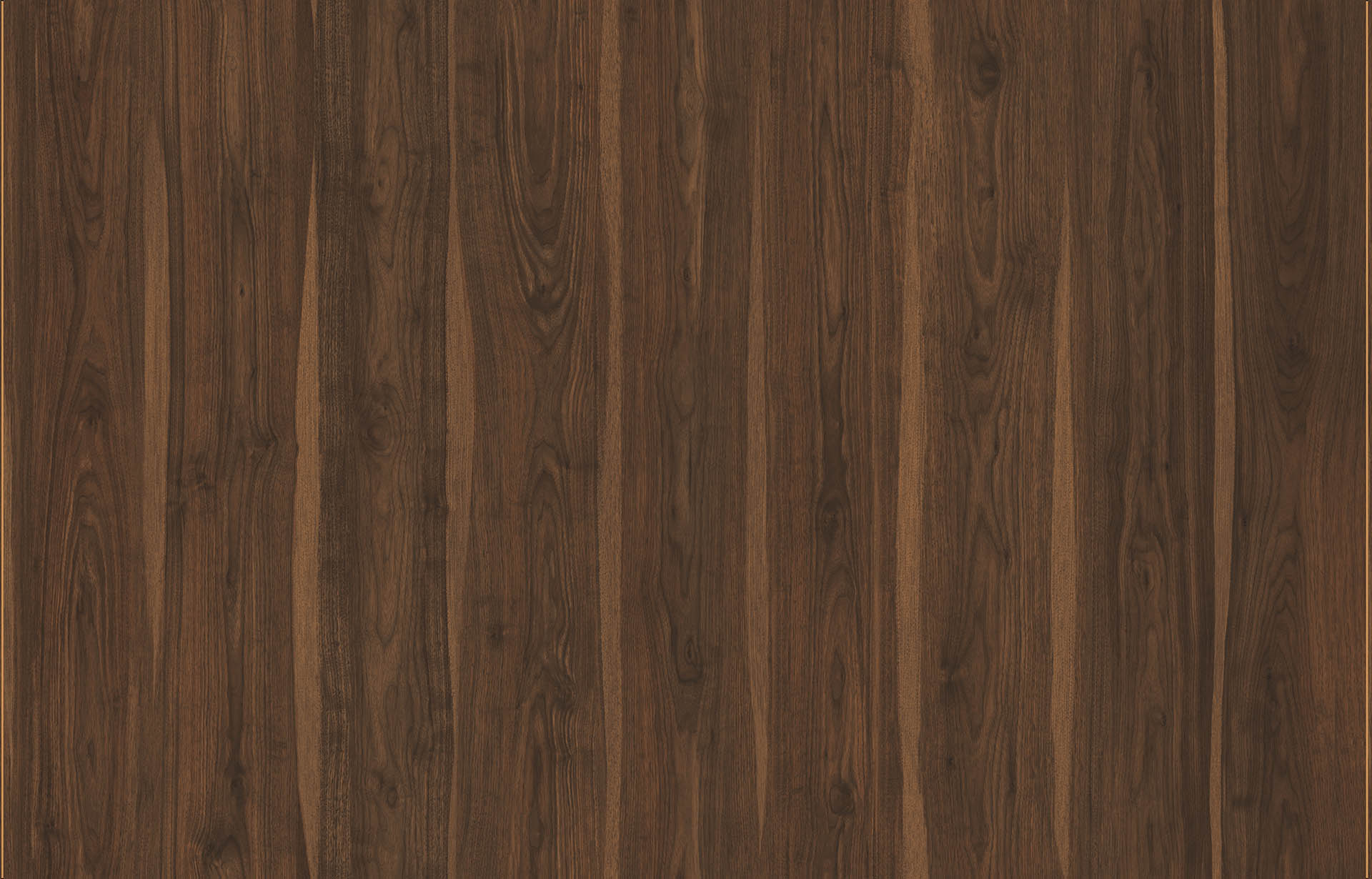 SANTA MONICA WALNUT