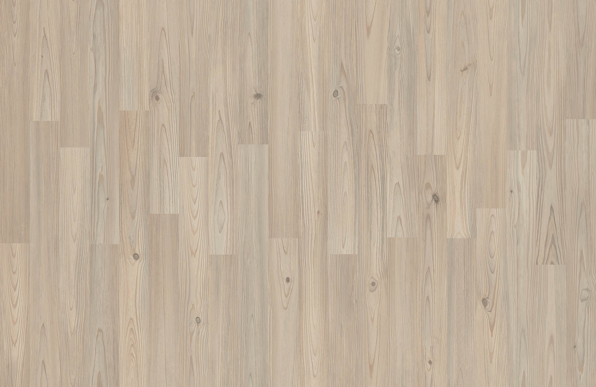 HAMMAM PINE