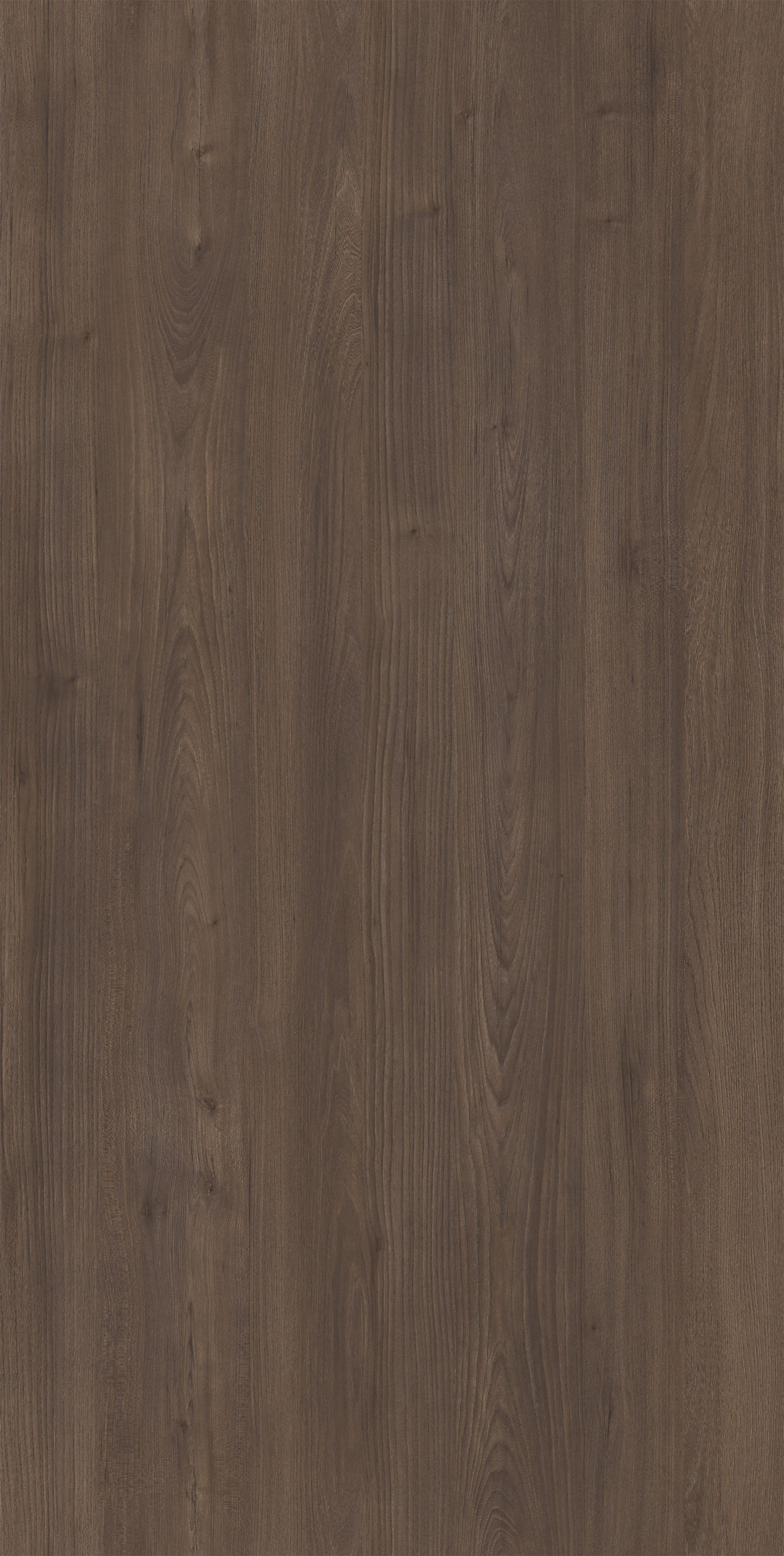 RED ELM (EIR)
