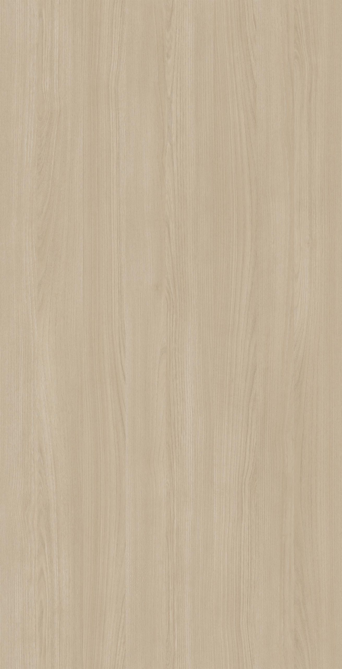 AUSTRALIAN ACACIA