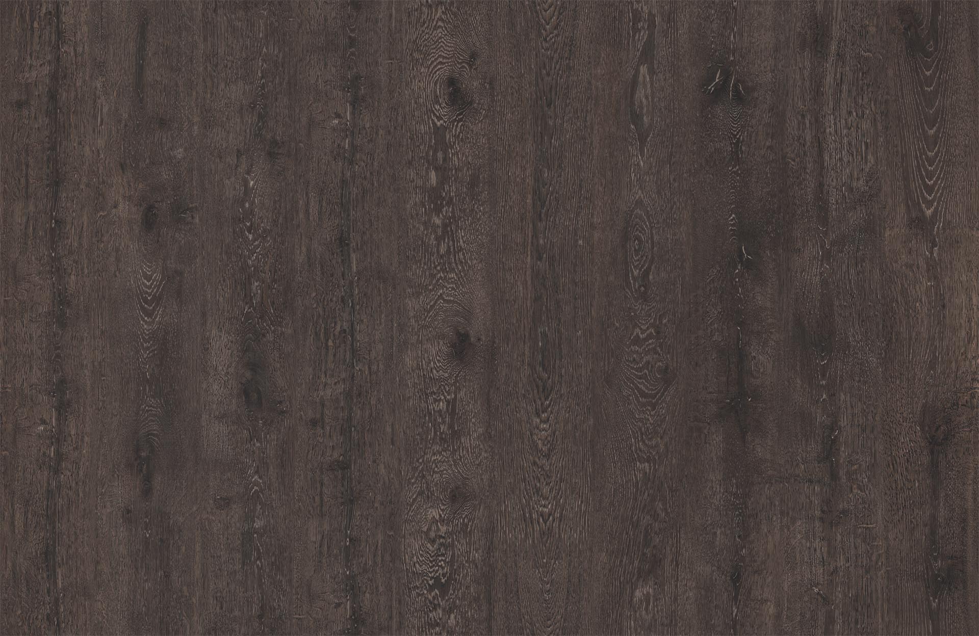 DYNASTY OAK