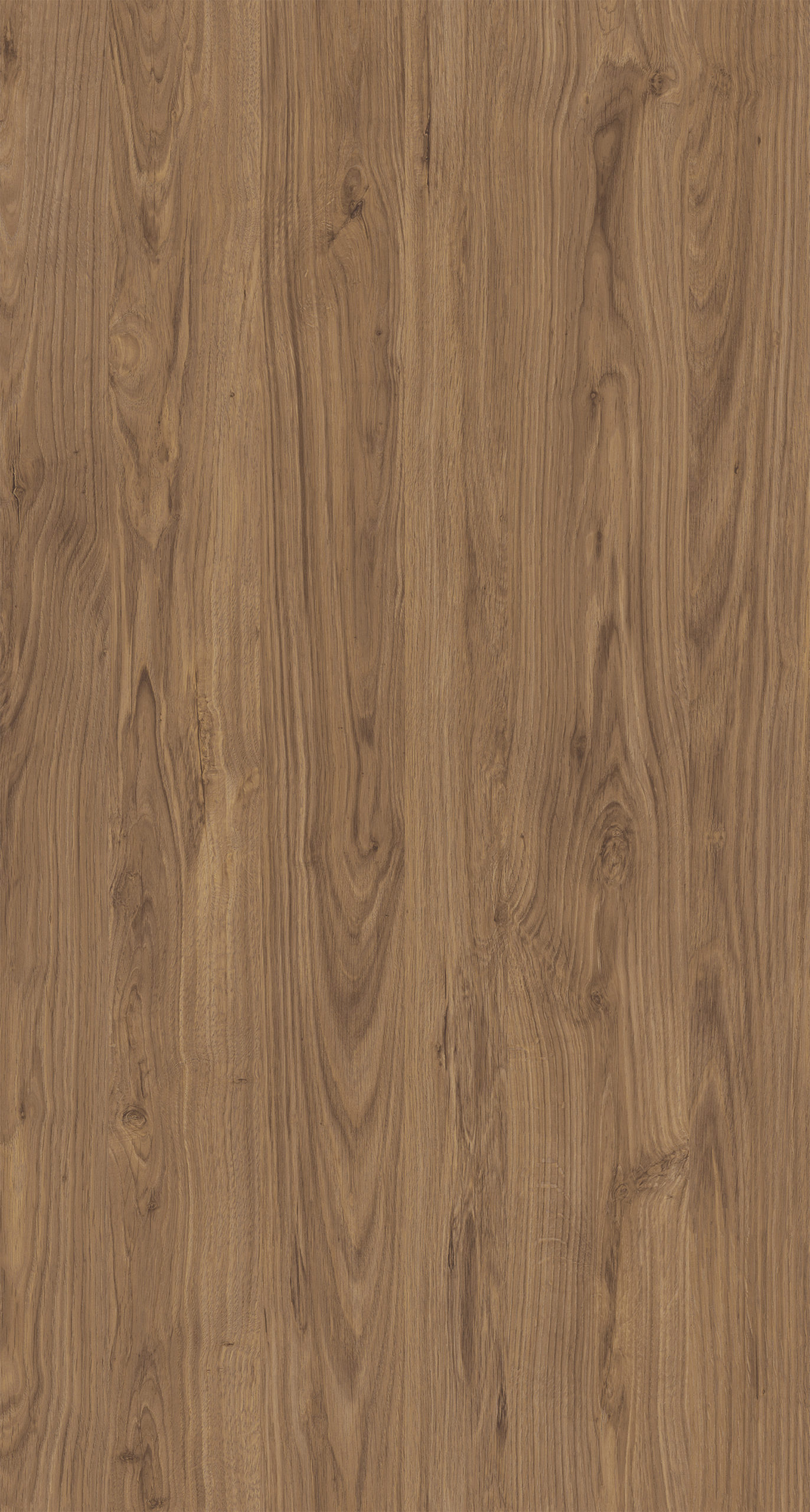 WINDSOR OAK