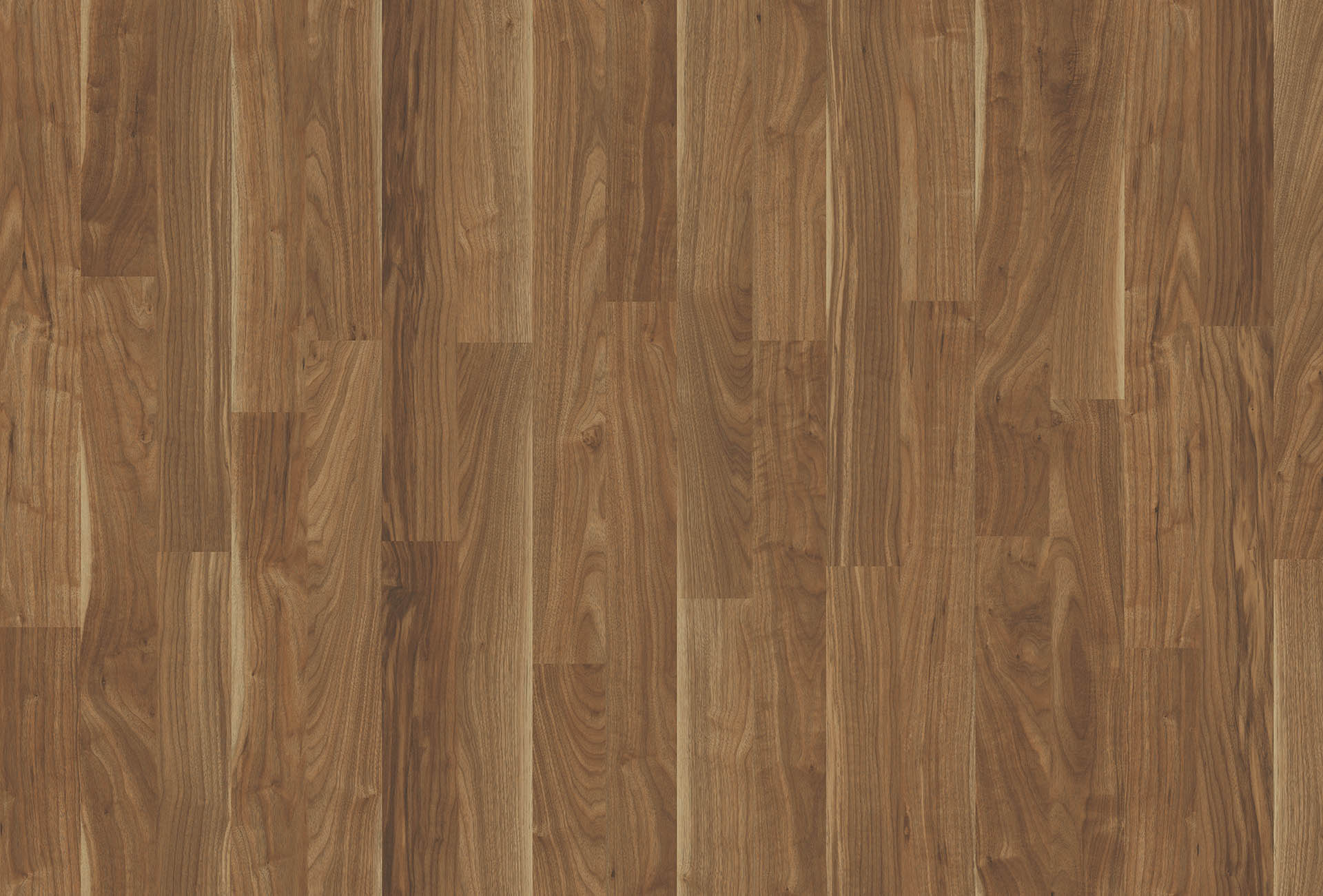 PRESIDENT WALNUT